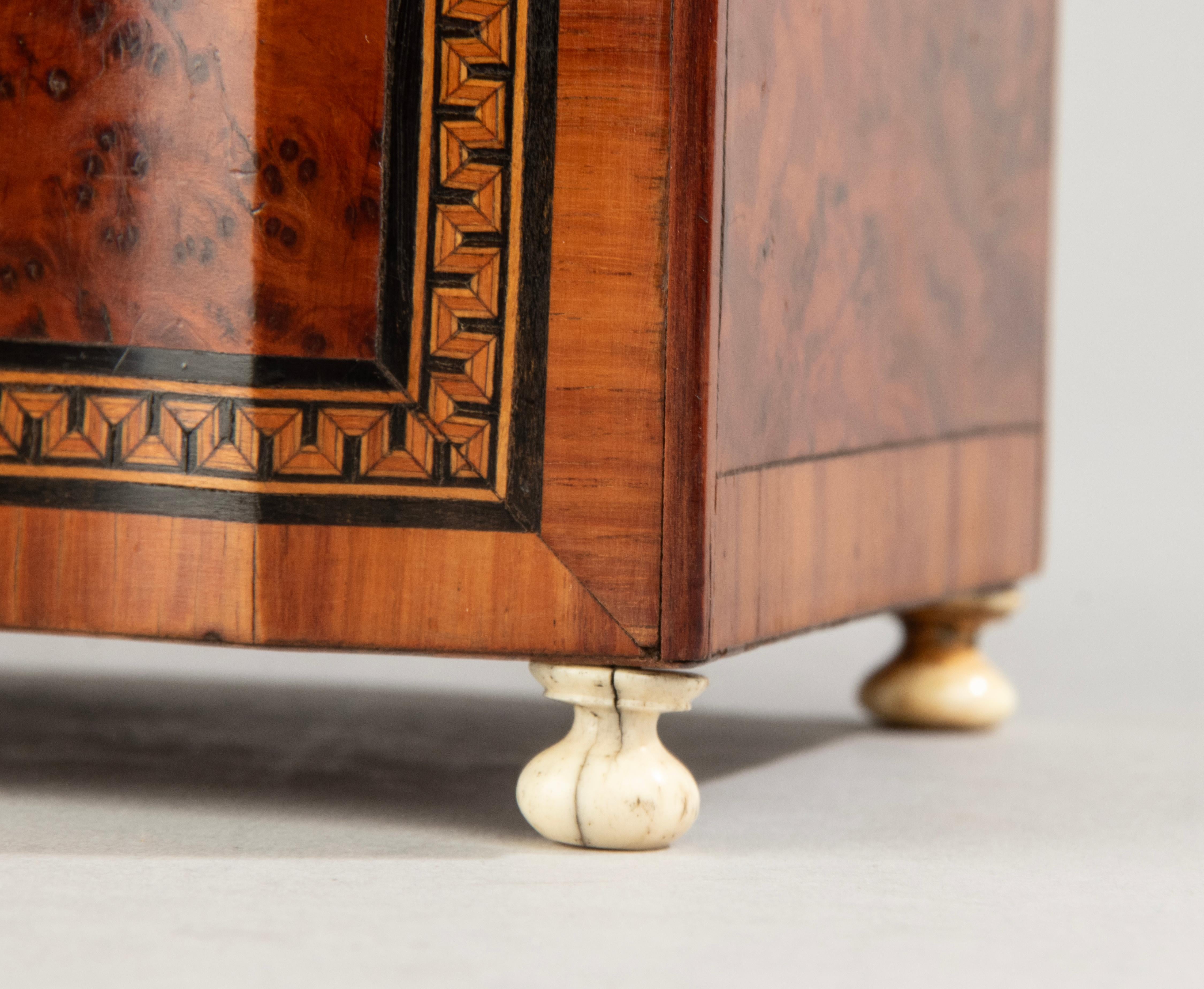 Late 19th Century Napoleon III Bombay Wood Marquetry Tea Caddy For Sale 1