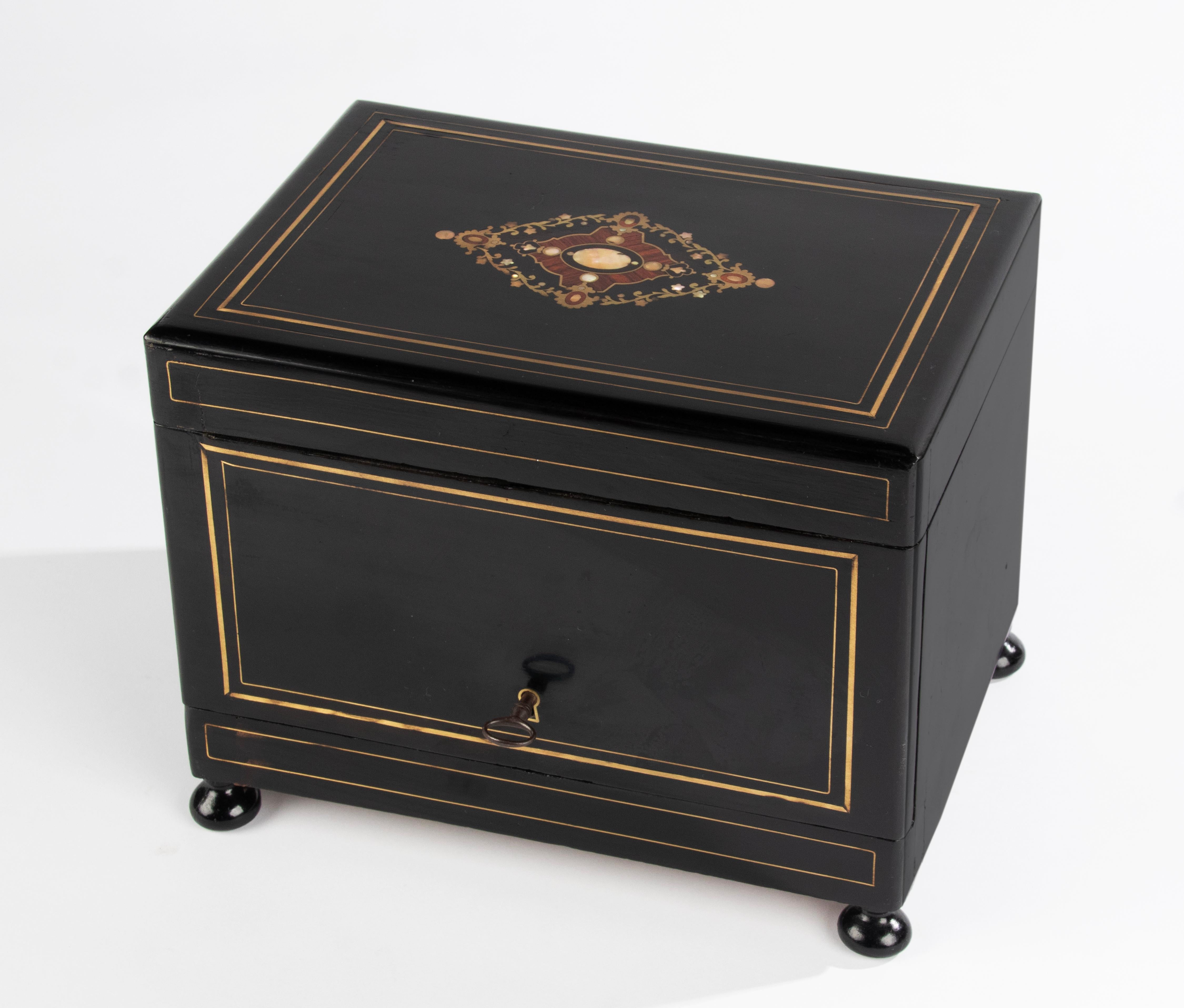 Late 19th Century Napoleon III Ebonized Cigar Cabinet For Sale 8