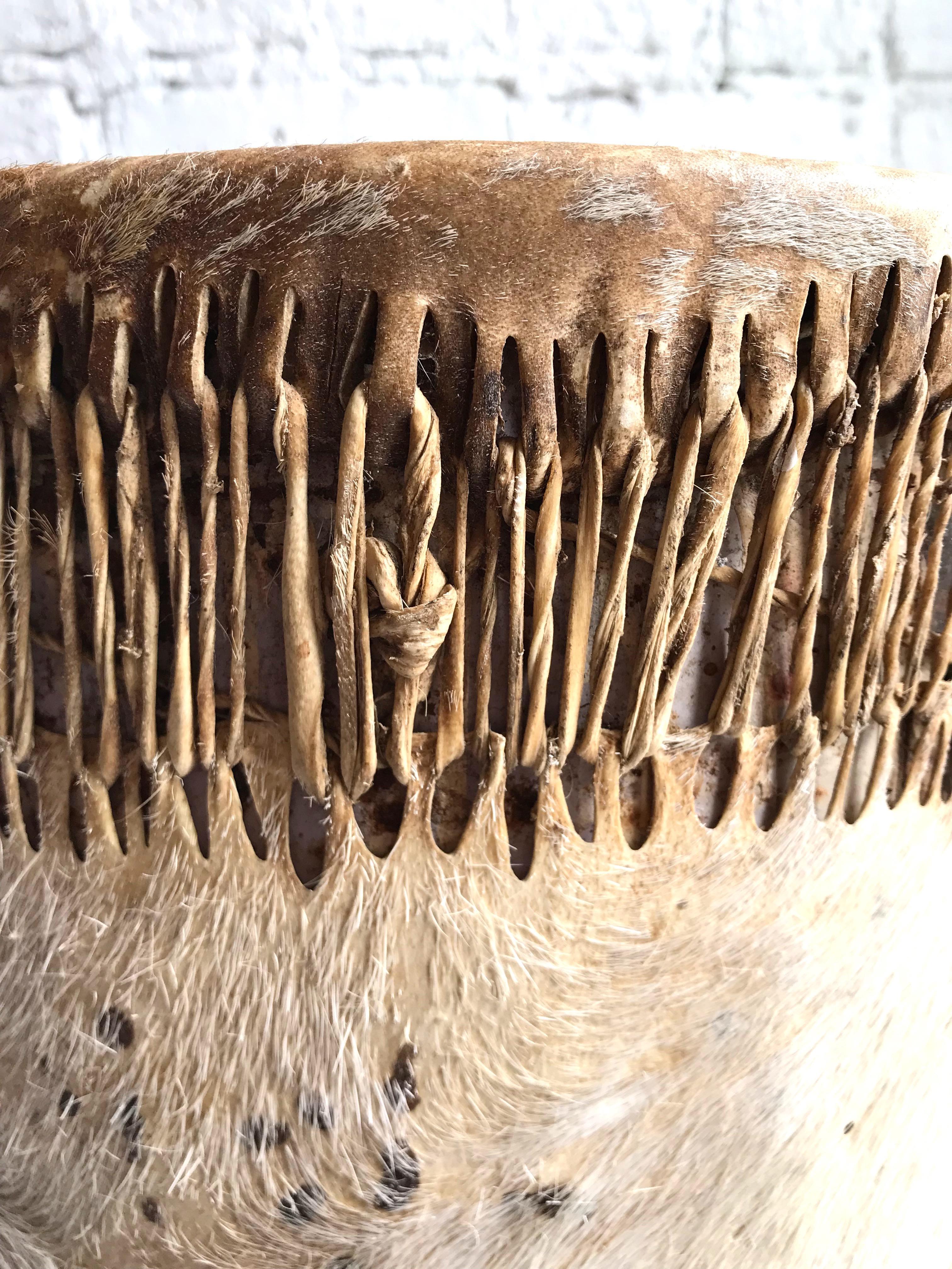 Late 19th Century Native American Drum In Good Condition In Chicago, IL