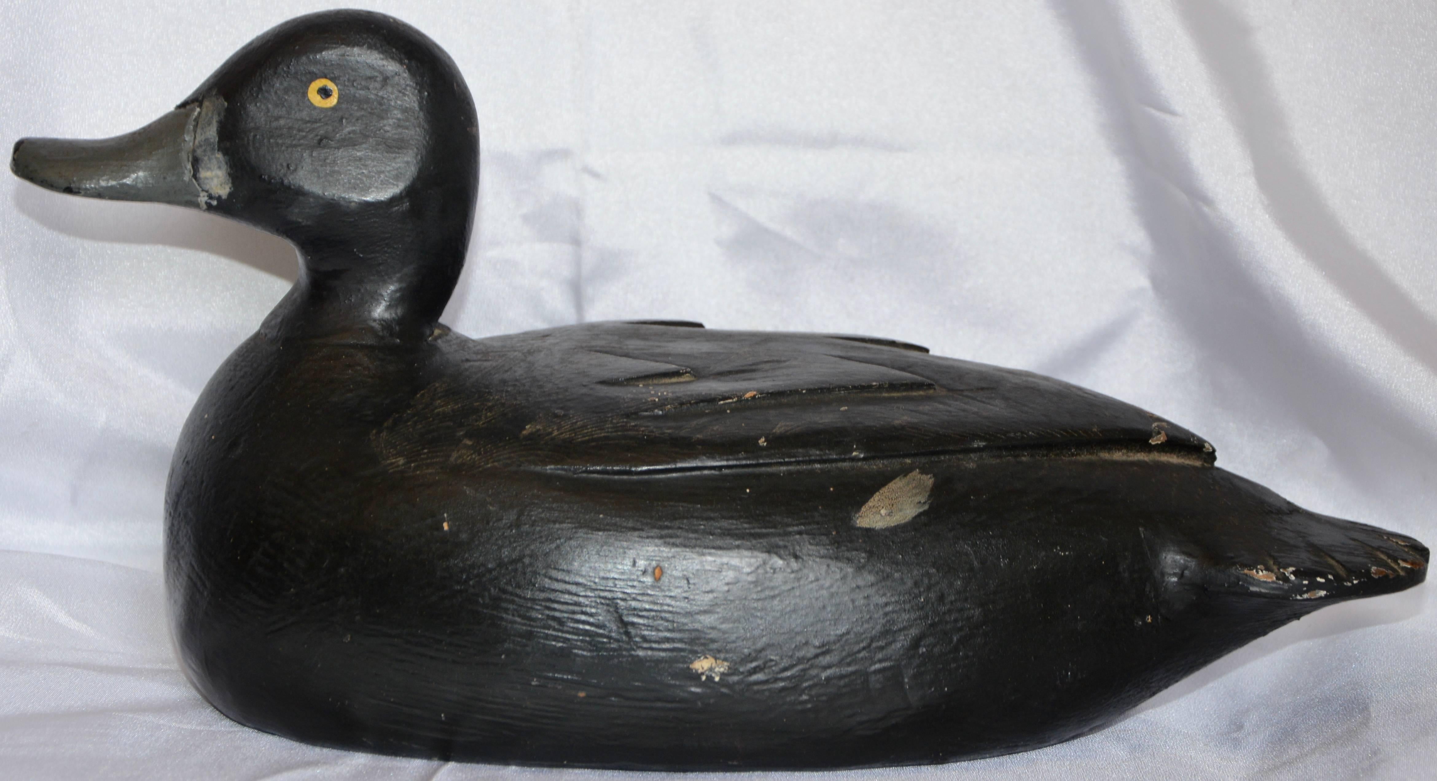 The details on this wooden duck decoy for the New England area are nice. The duck is painted black with tiny strokes of grey paint highlighting his feathers. He will be a great addition to your collection!