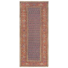 Fine del XIX secolo N.W. Tappeto persiano ( 4'8" x 11' - 143 x 335 )