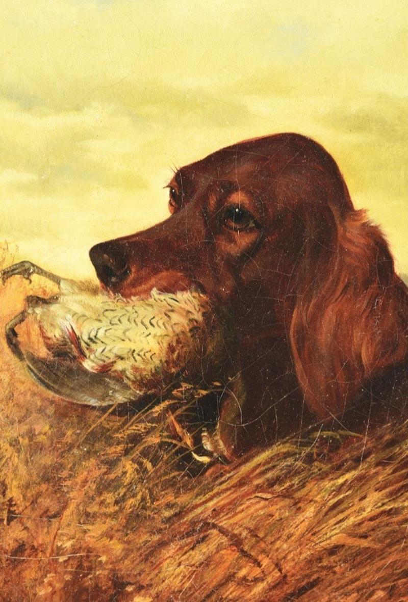 Late 19th century oil on canvas painting of an Irish Setter bird dog, holding a bird in its mouth, in a field, Original painting in a new gold tone frame. Signed by artist in the lower right corner and dated 1889. Very good condition.
Measures: