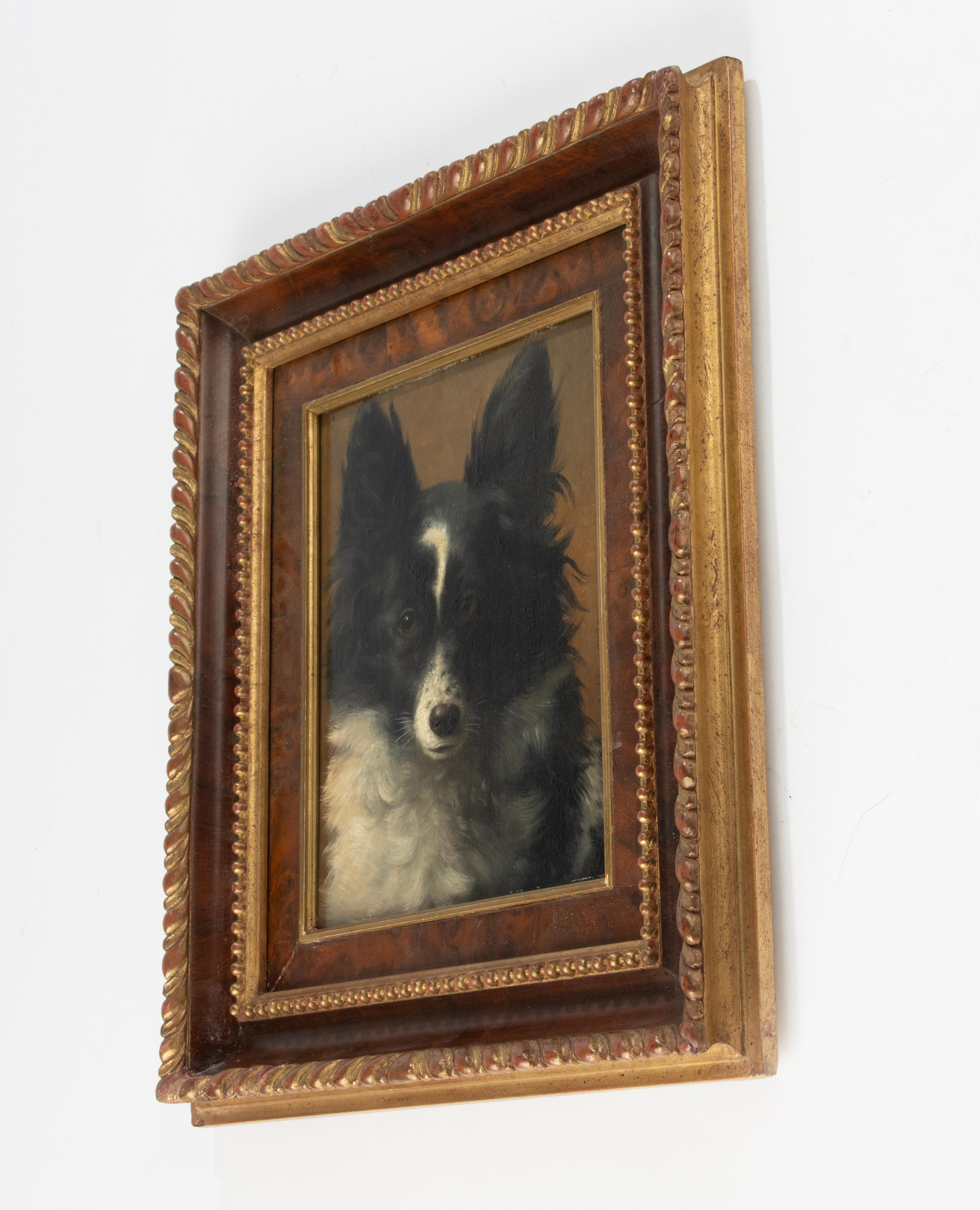 Late 19th Century Oil Painting - Dog Portrait - Spitz Dog - VIB Gerard For Sale 3