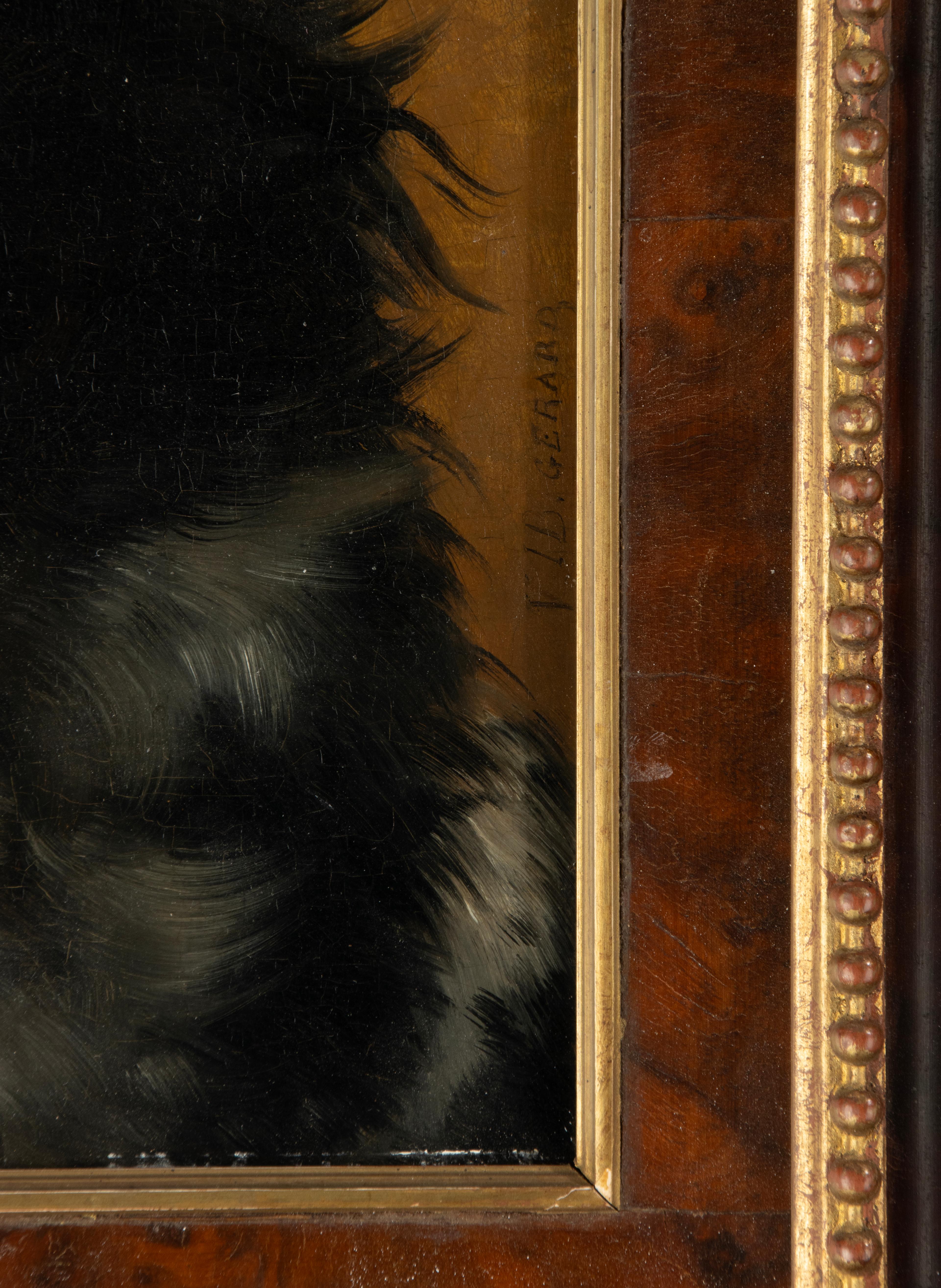 Late 19th Century Oil Painting - Dog Portrait - Spitz Dog - VIB Gerard For Sale 5
