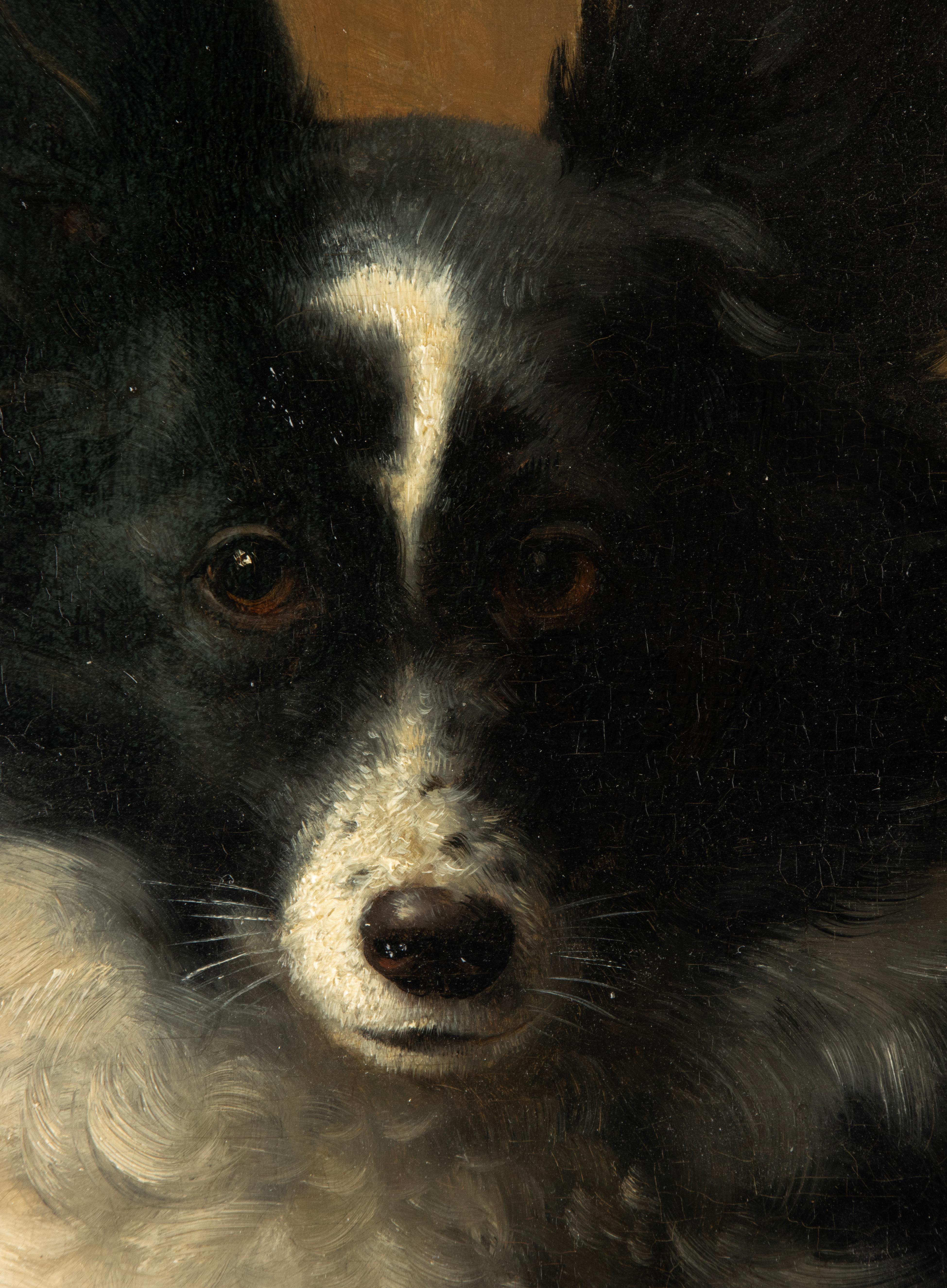 Late 19th Century Oil Painting - Dog Portrait - Spitz Dog - VIB Gerard For Sale 6