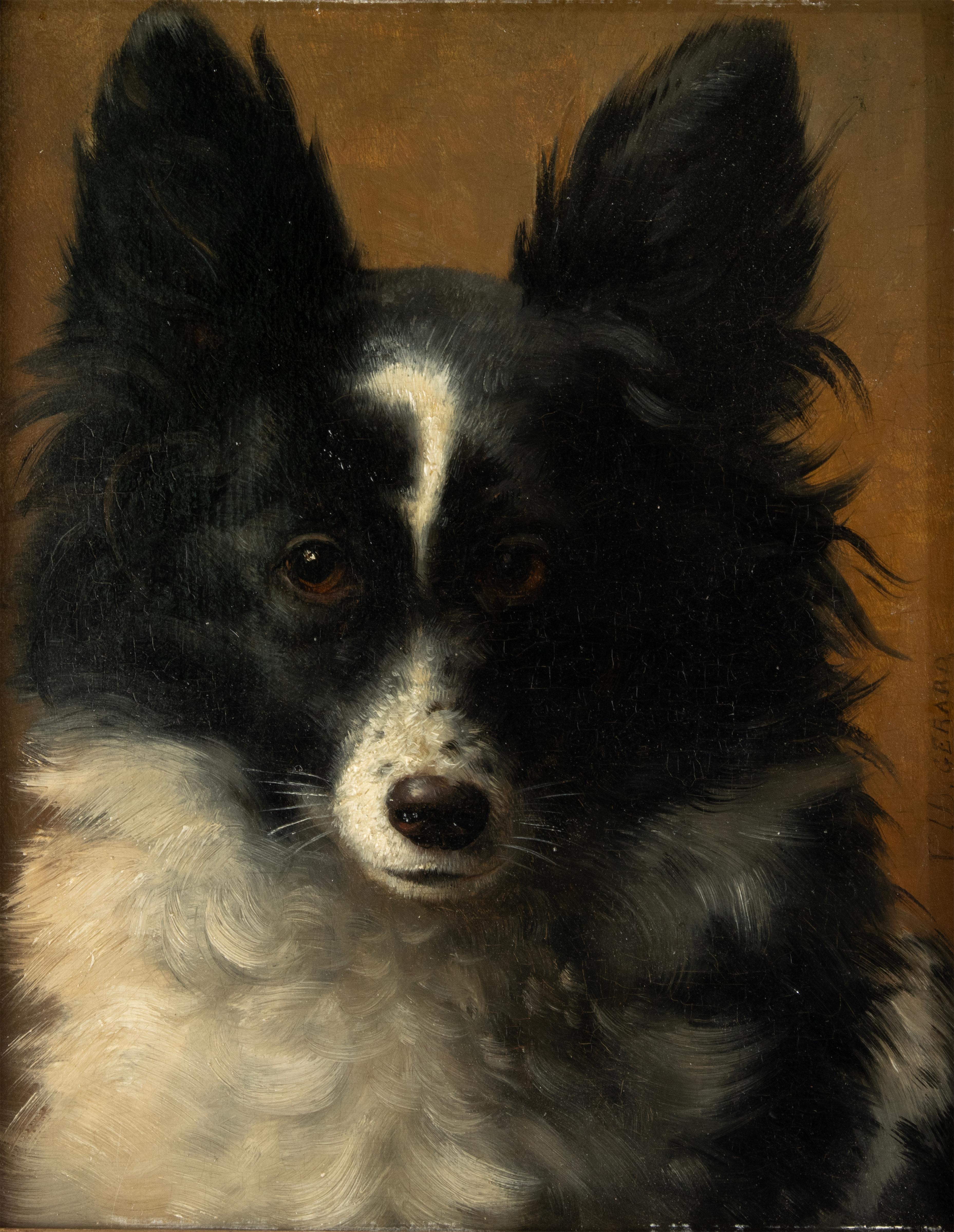 A beautiful antique oil painting, portrait of a dog.
The painting is signed V.I.B. Gerard, this could be the Belgian painter Victor Jean Baptiste Gerard, but not sure.
The painting is painted on an oak panel, framed in a wooden frame with beautiful