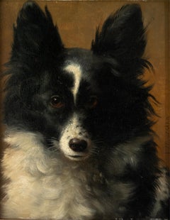 Late 19th Century Oil Painting - Dog Portrait - Spitz Dog - VIB Gerard