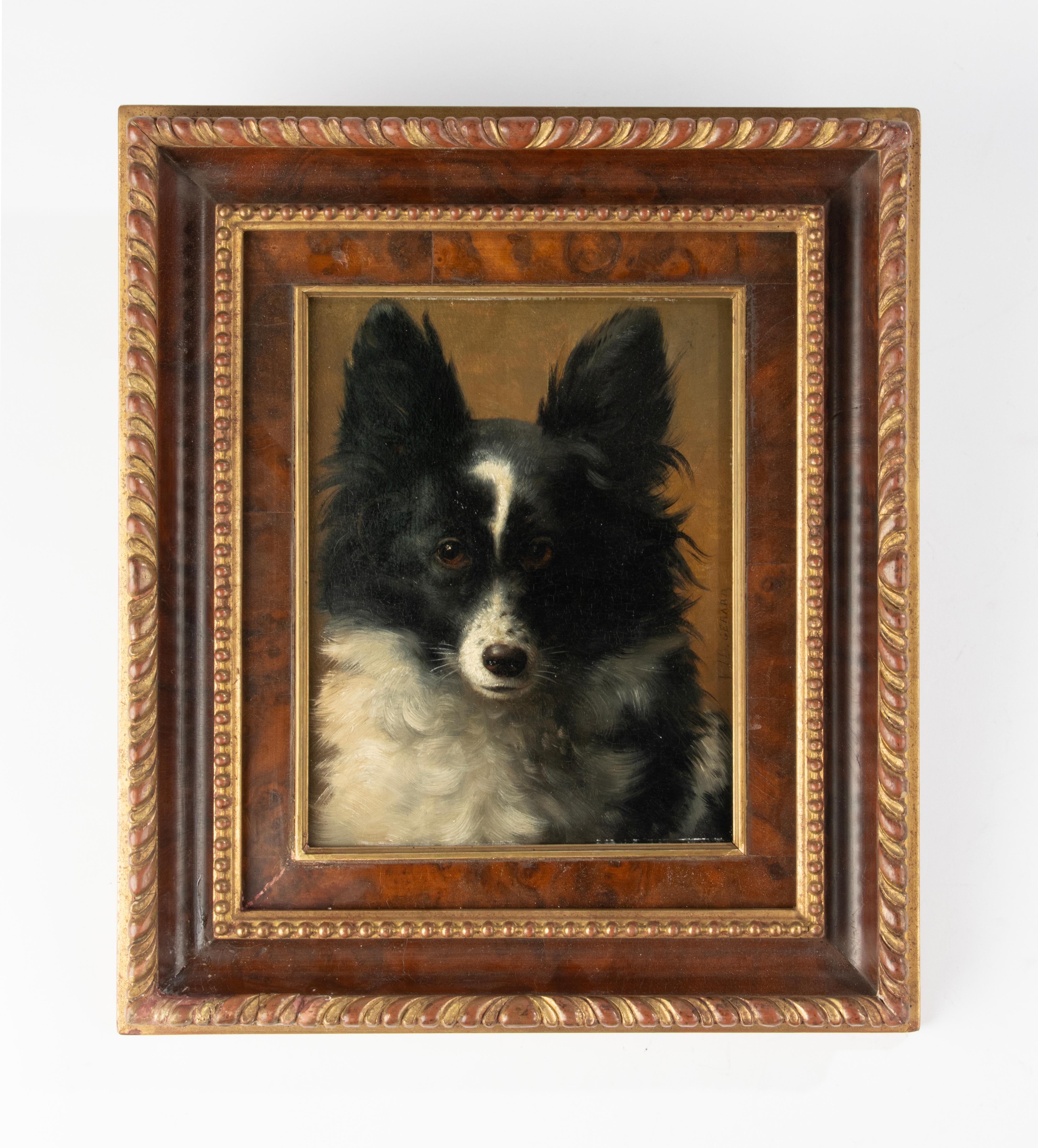 Belle Époque Late 19th Century Oil Painting - Dog Portrait - Spitz Dog - VIB Gerard For Sale