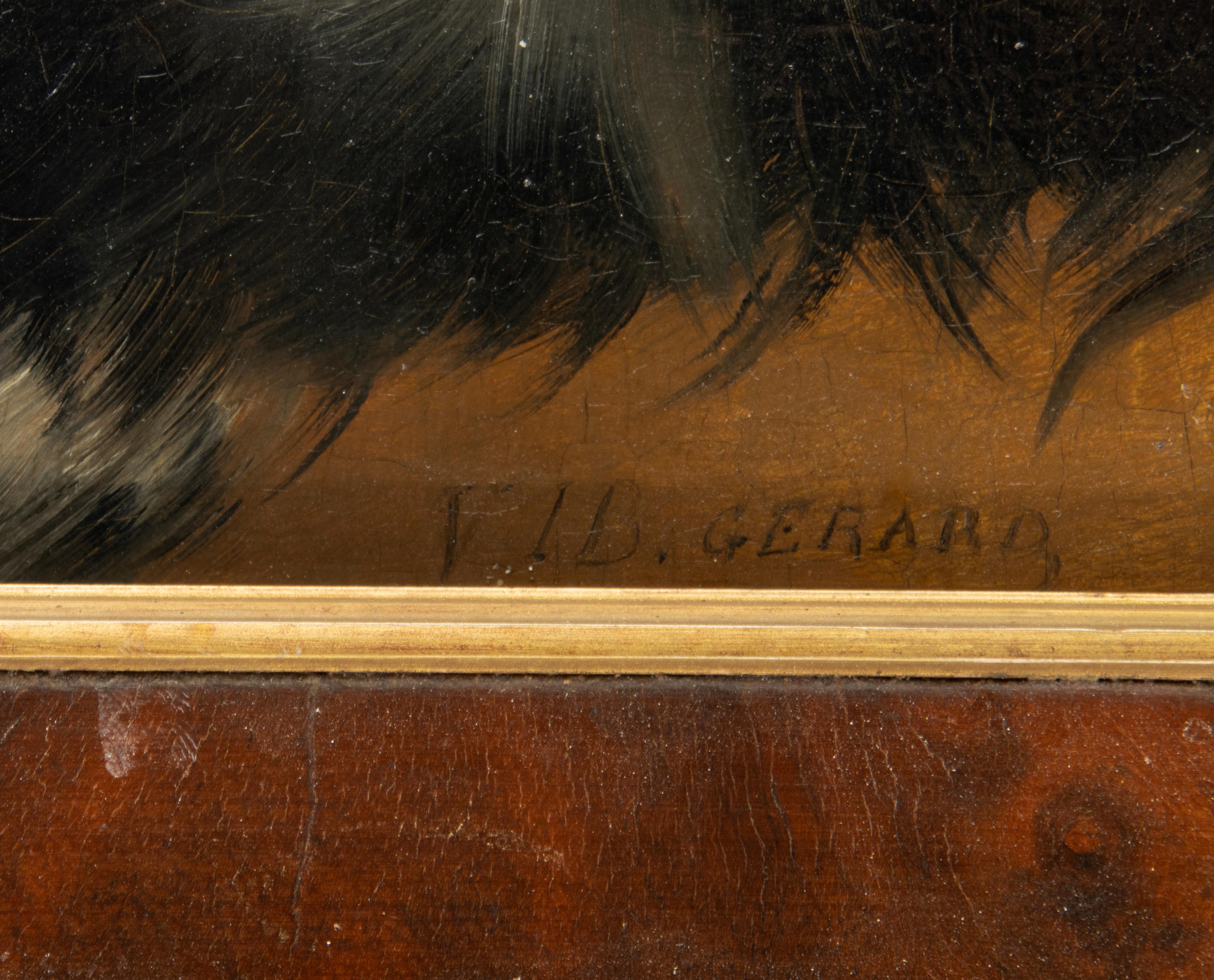 Belgian Late 19th Century Oil Painting - Dog Portrait - Spitz Dog - VIB Gerard For Sale