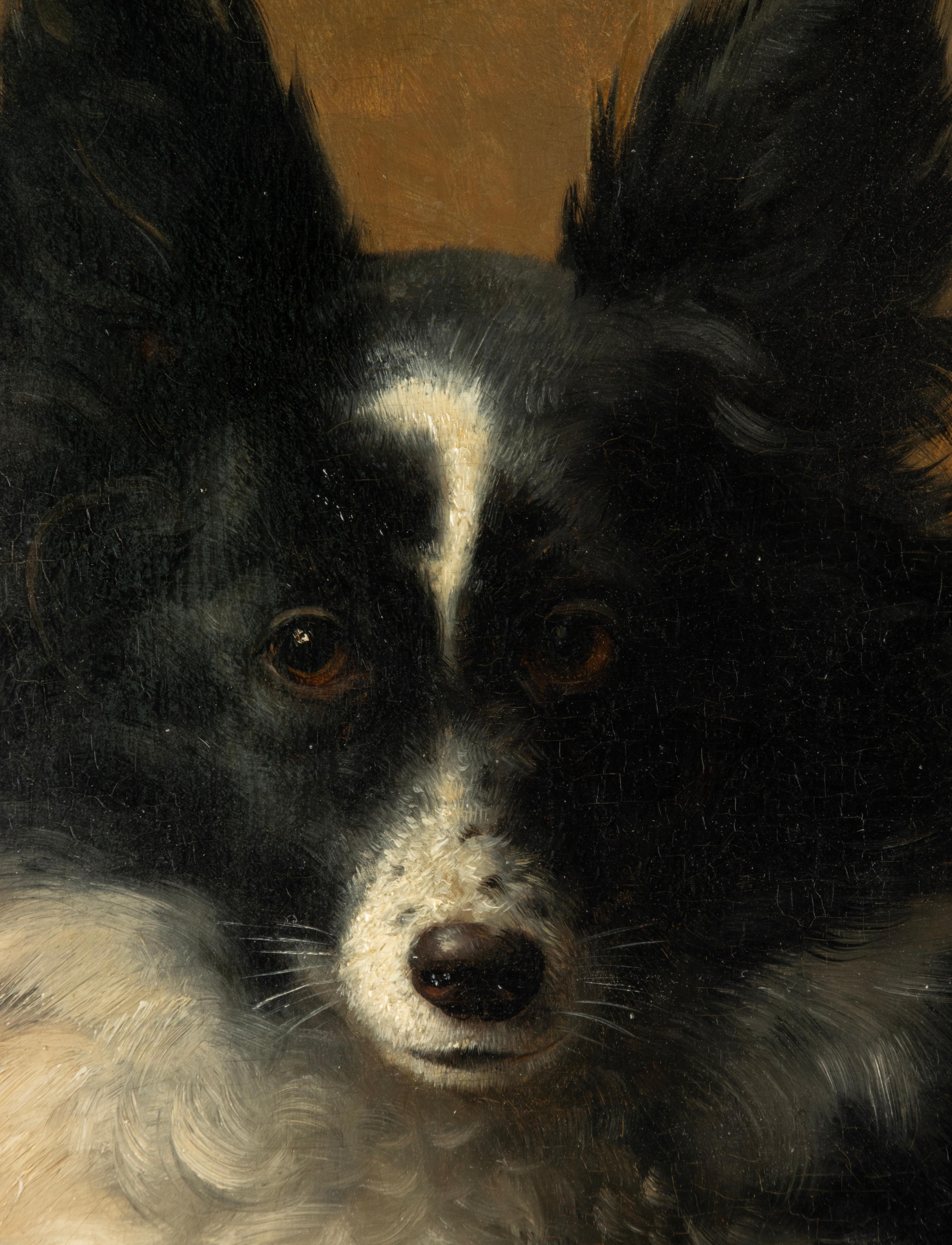 Hand-Painted Late 19th Century Oil Painting - Dog Portrait - Spitz Dog - VIB Gerard For Sale