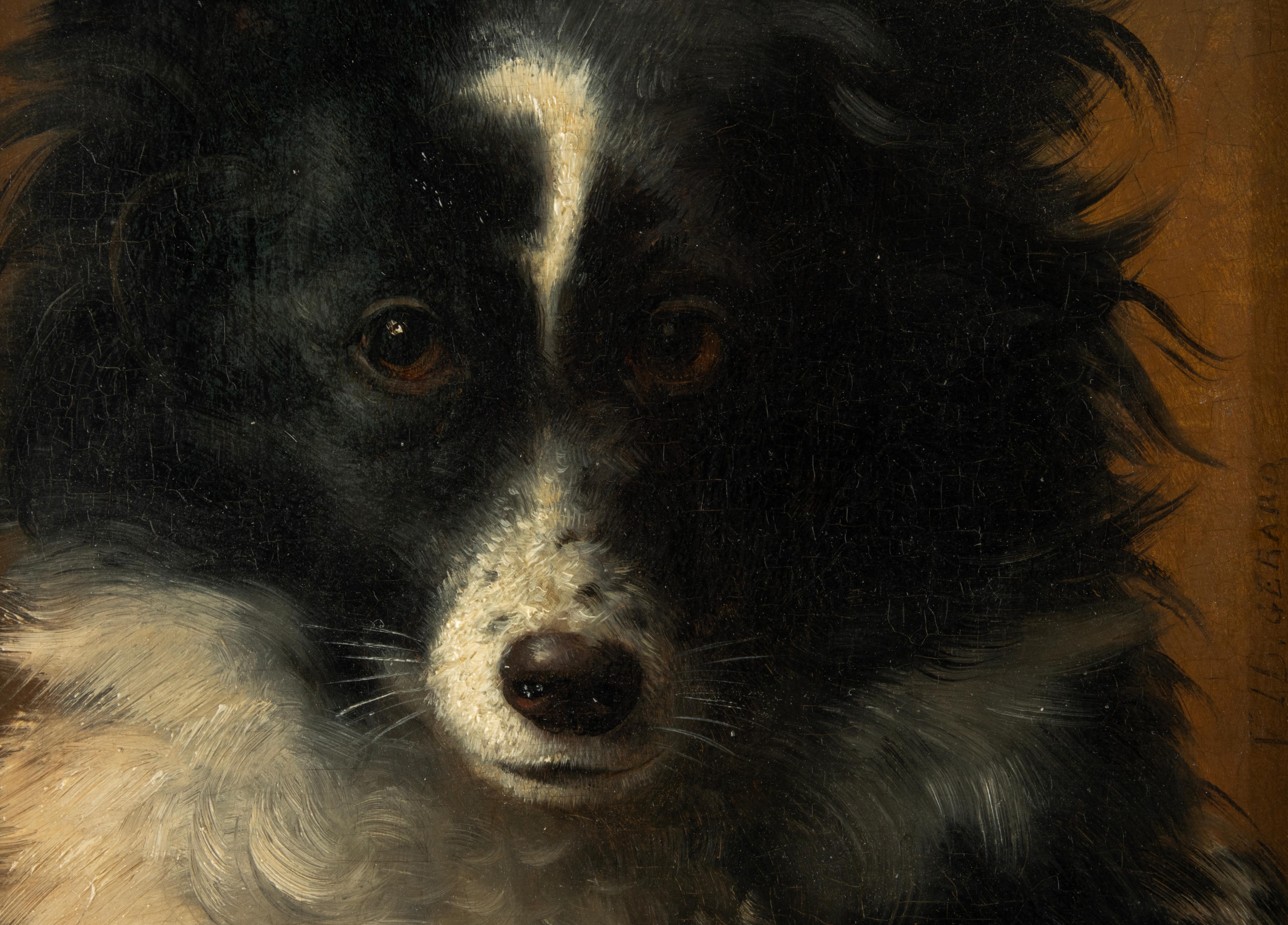 Oak Late 19th Century Oil Painting - Dog Portrait - Spitz Dog - VIB Gerard For Sale