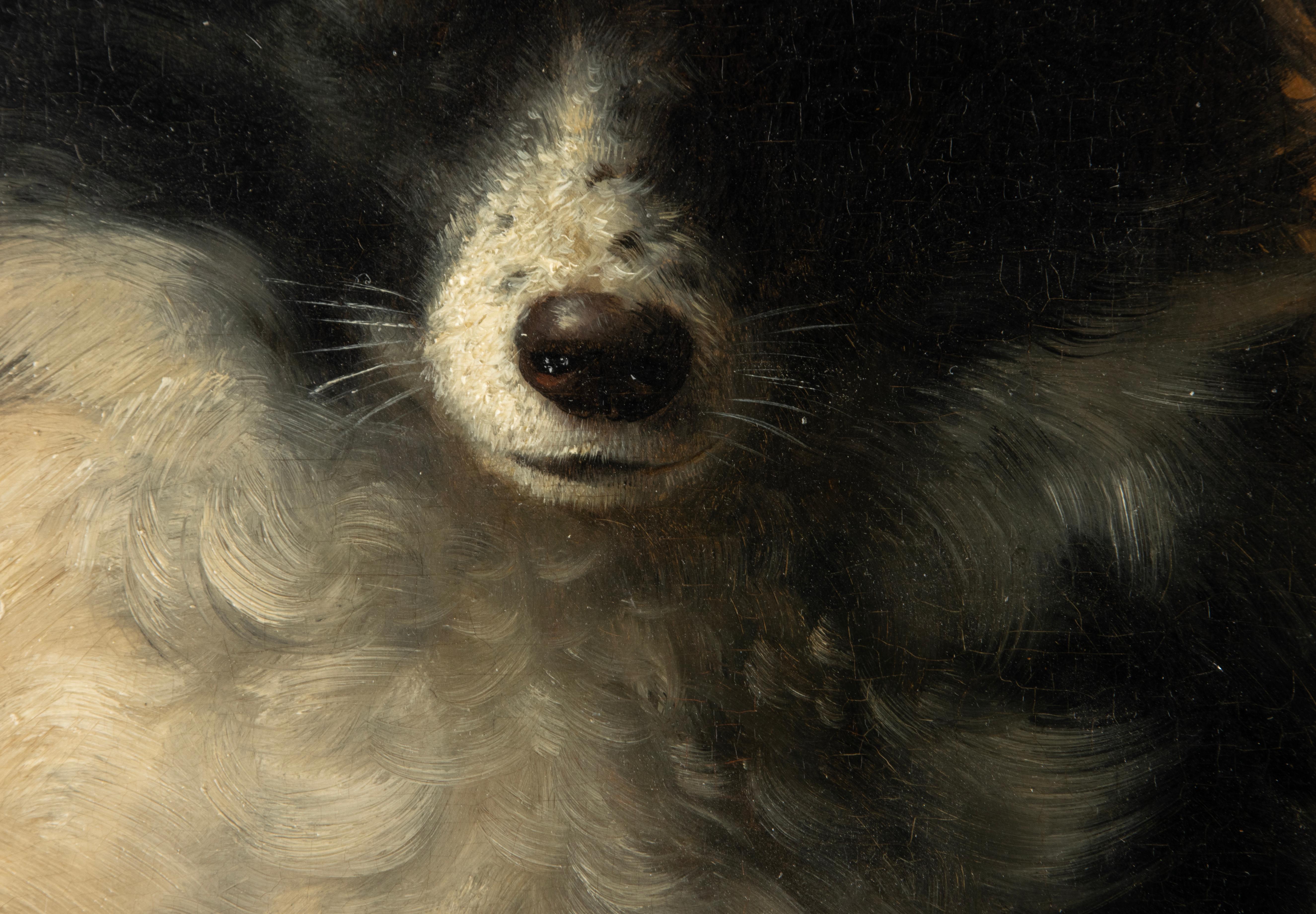Late 19th Century Oil Painting - Dog Portrait - Spitz Dog - VIB Gerard For Sale 2
