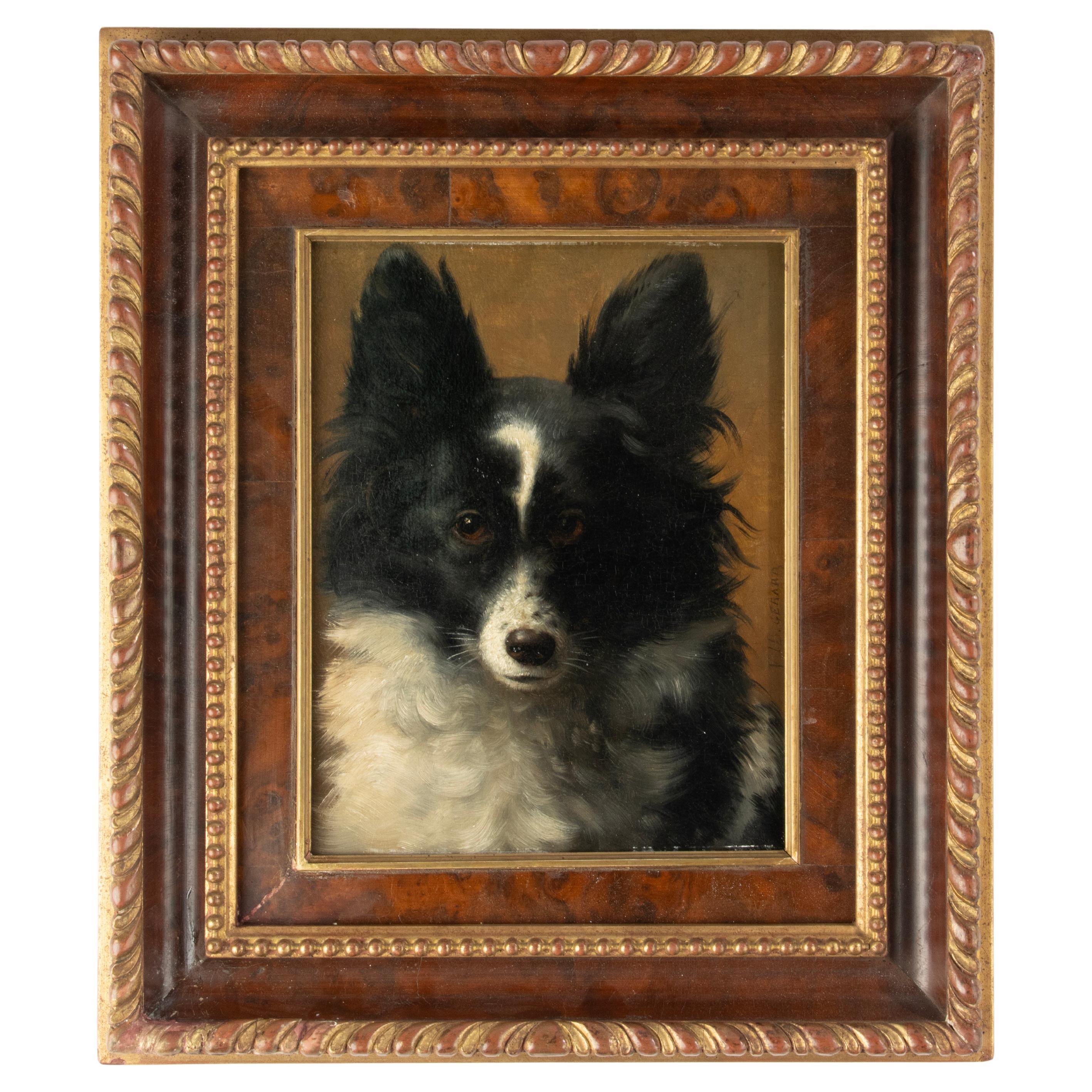 Pittura ad olio della fine del XIX secolo - Ritratto di cane - Cane Spitz - VIB Gerard