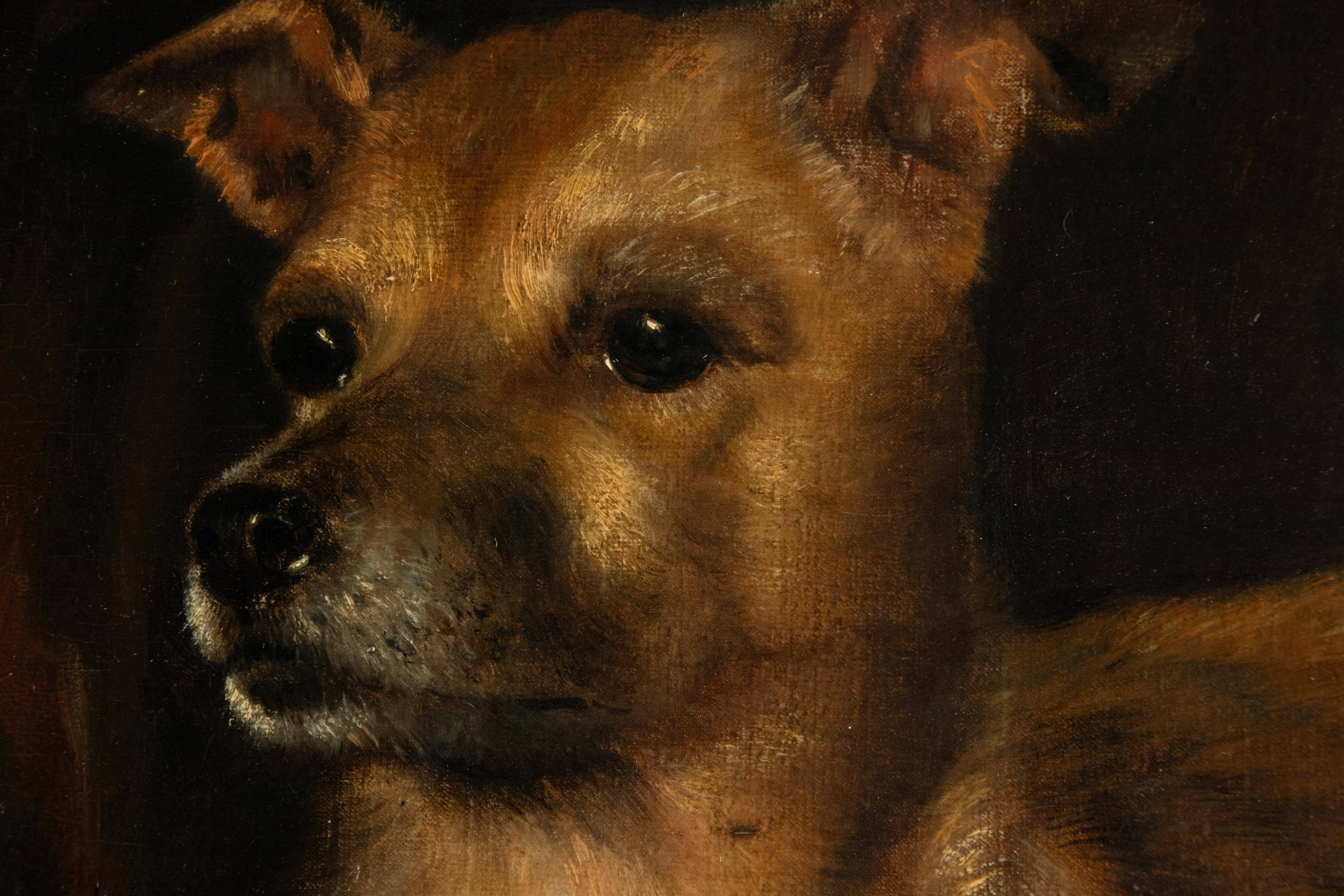 Fin du 19e siècle Peinture à l'huile Portrait chien -  A. Tschoffen en vente 4