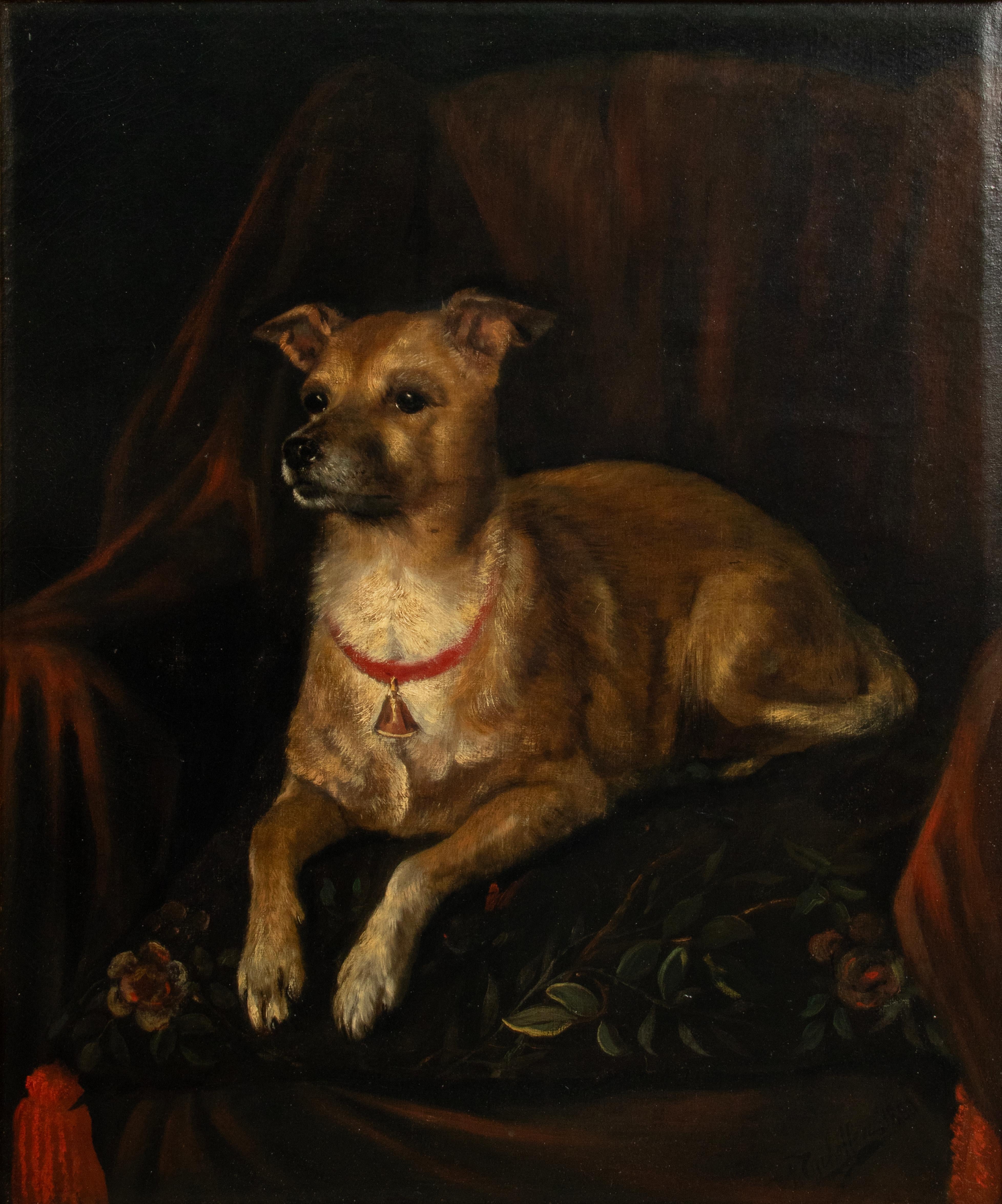 A refined oil painting of a lying dog. Signed bottom right, signature not clearly legible. A. Tschoffen? Painted with oil paint on canvas. The old canvas is covered on the backside  (Doublé) with a new piece of canvas. The original dimensions have