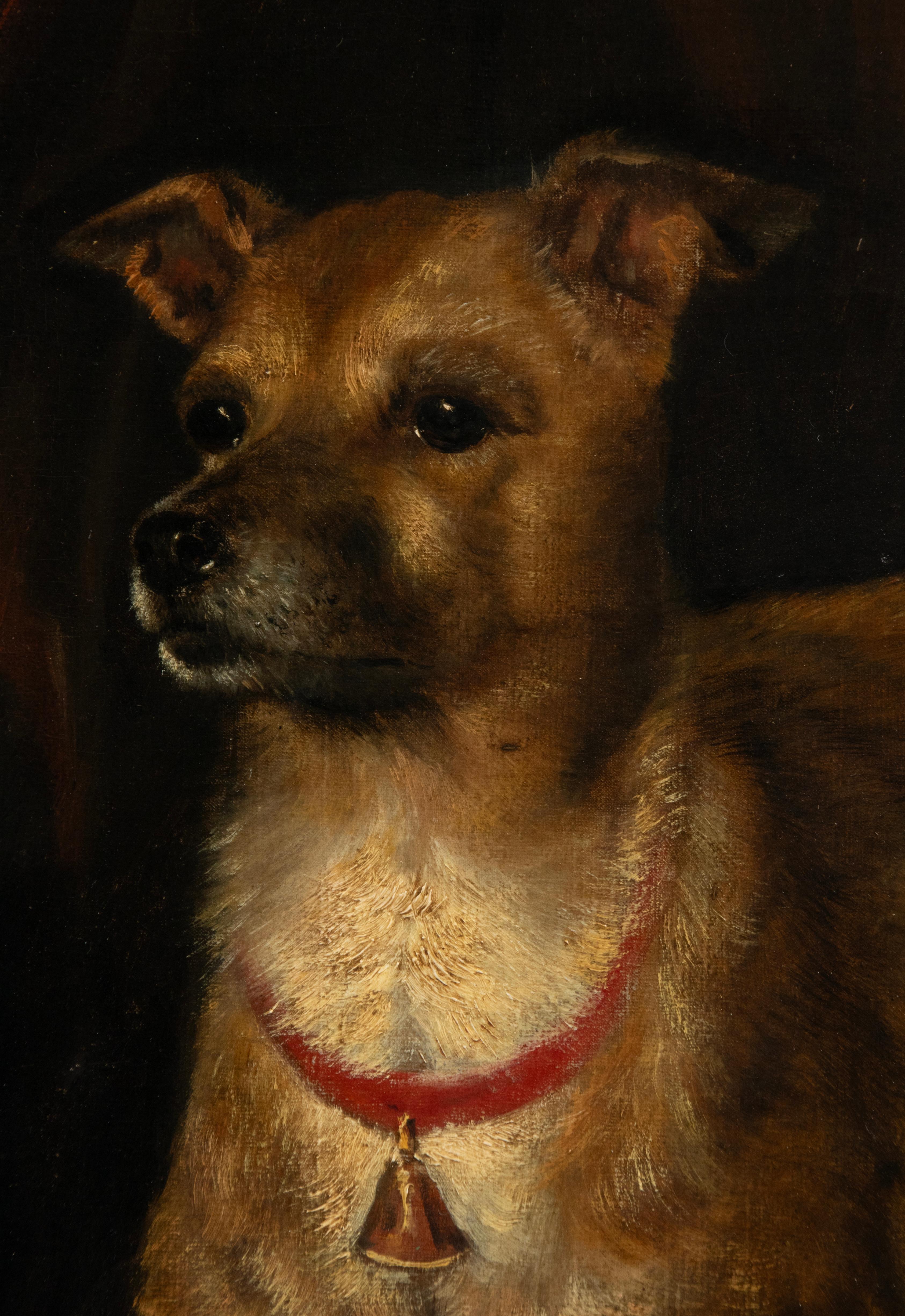 Painted Late 19th Century Oil painting Portrait dog -  A. Tschoffen For Sale