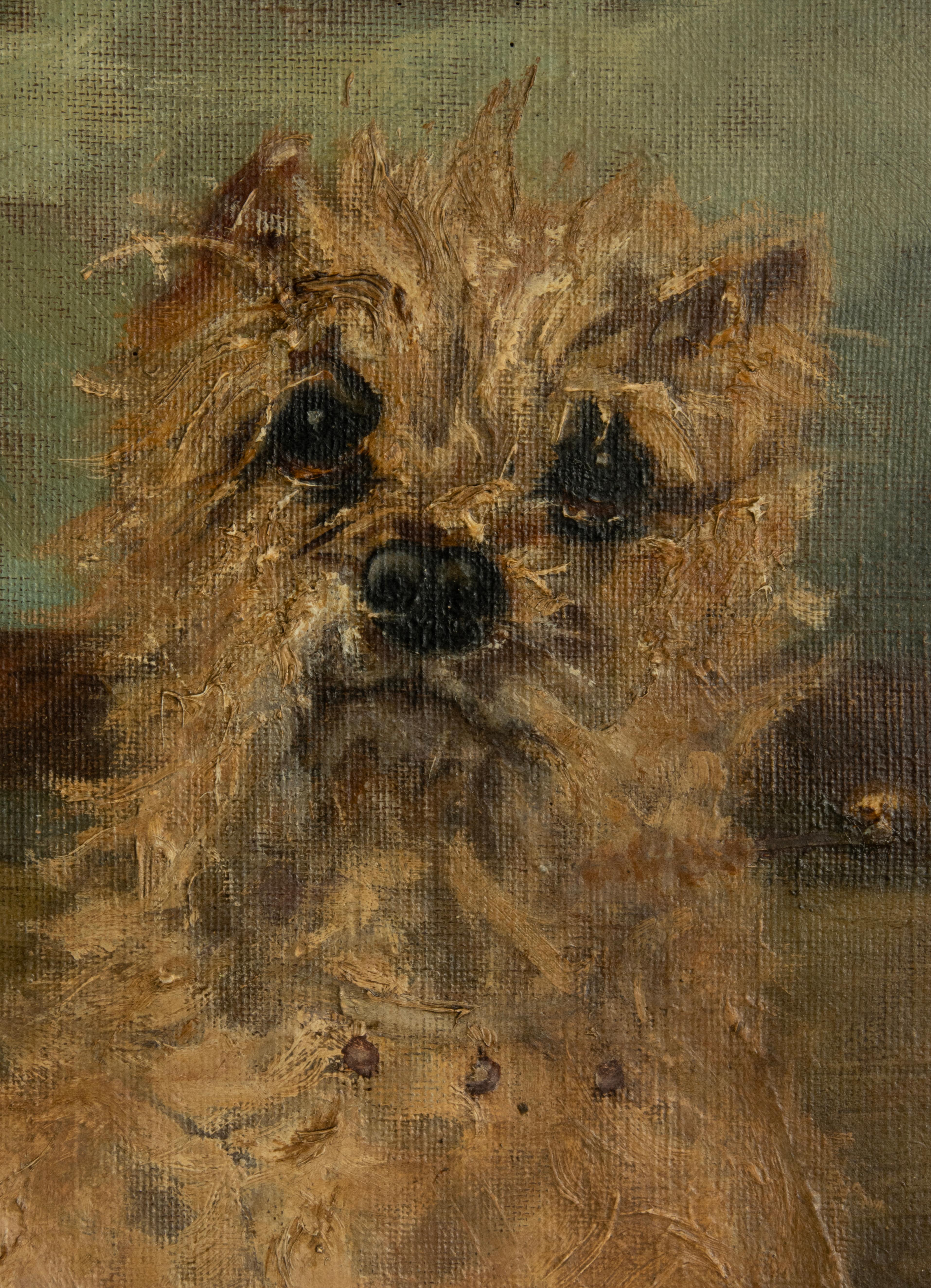 Late 19th Century Oil Painting with a Sitting Cairn Terrier by Albert Toefaert 5