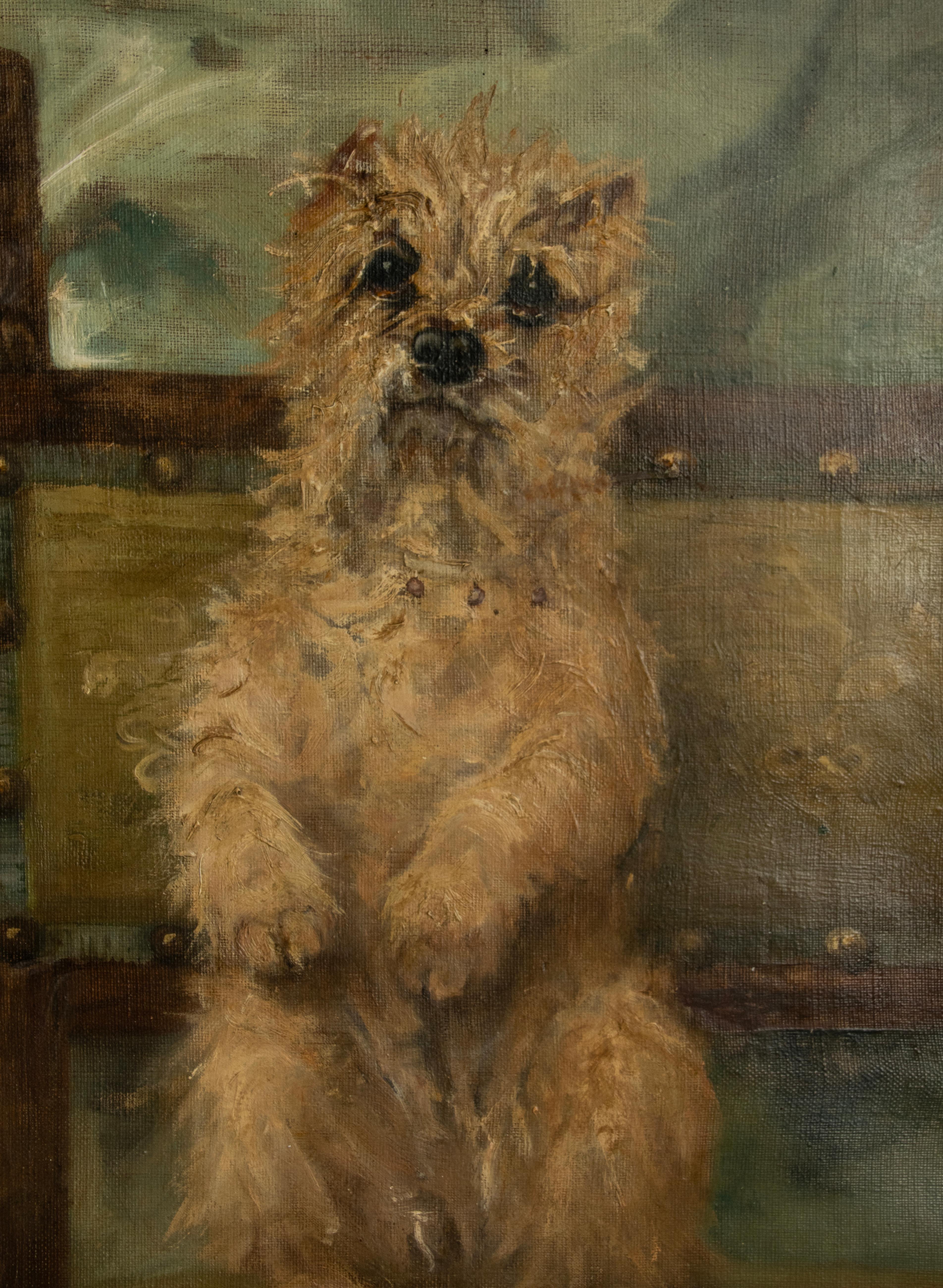 Late 19th Century Oil Painting with a Sitting Cairn Terrier by Albert Toefaert 7
