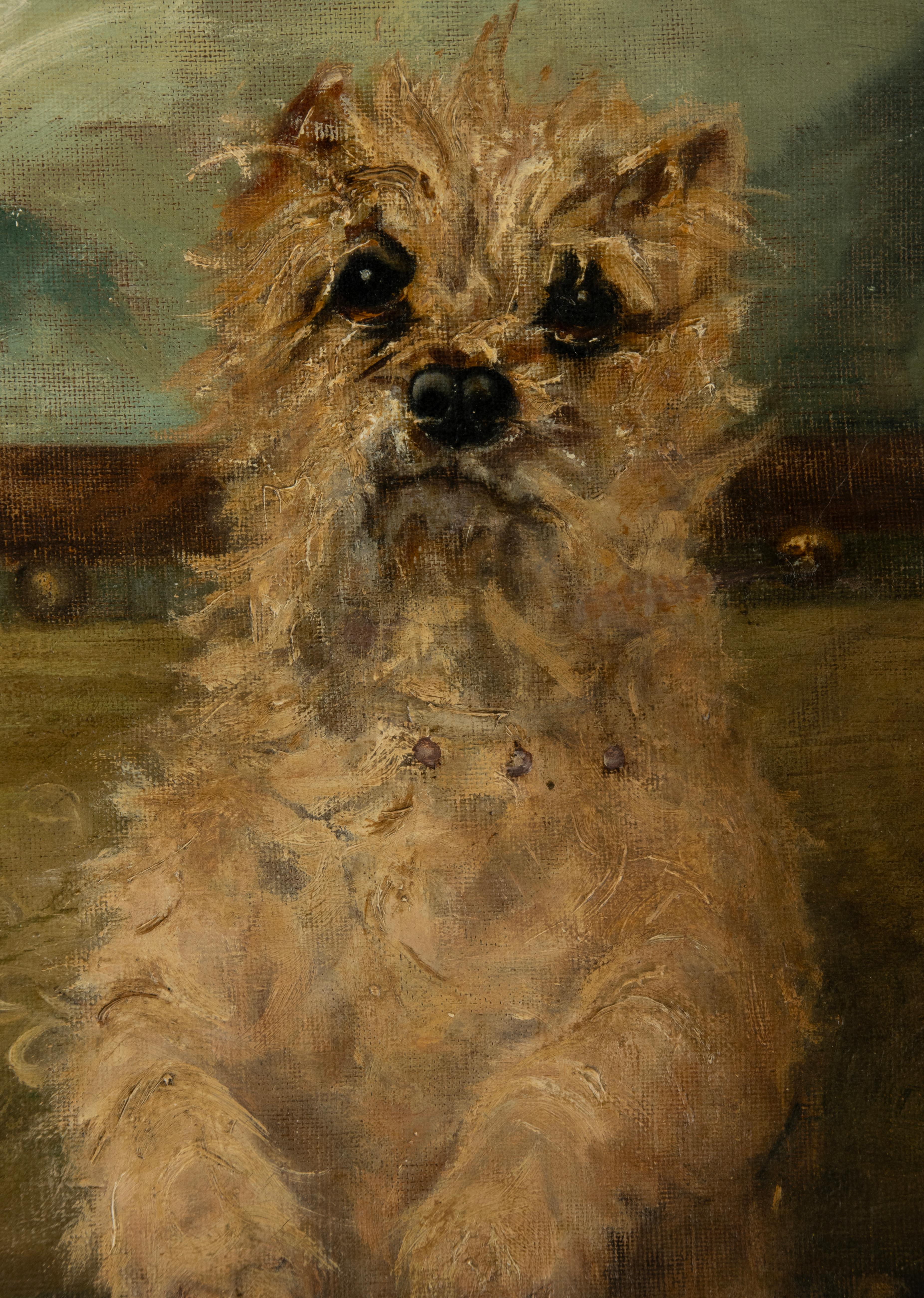 Late 19th Century Oil Painting with a Sitting Cairn Terrier by Albert Toefaert 10