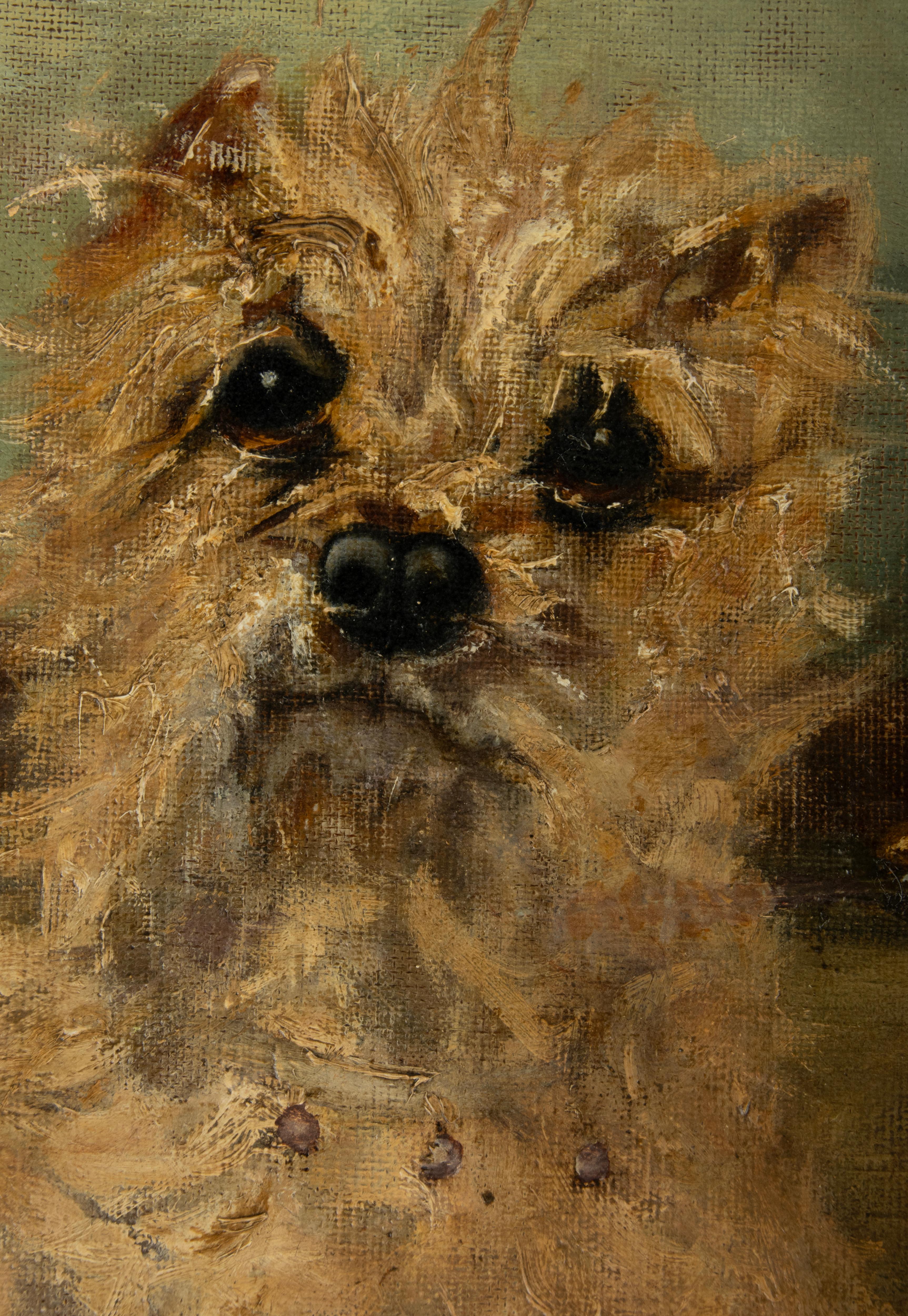 Late 19th Century Oil Painting with a Sitting Cairn Terrier by Albert Toefaert 11