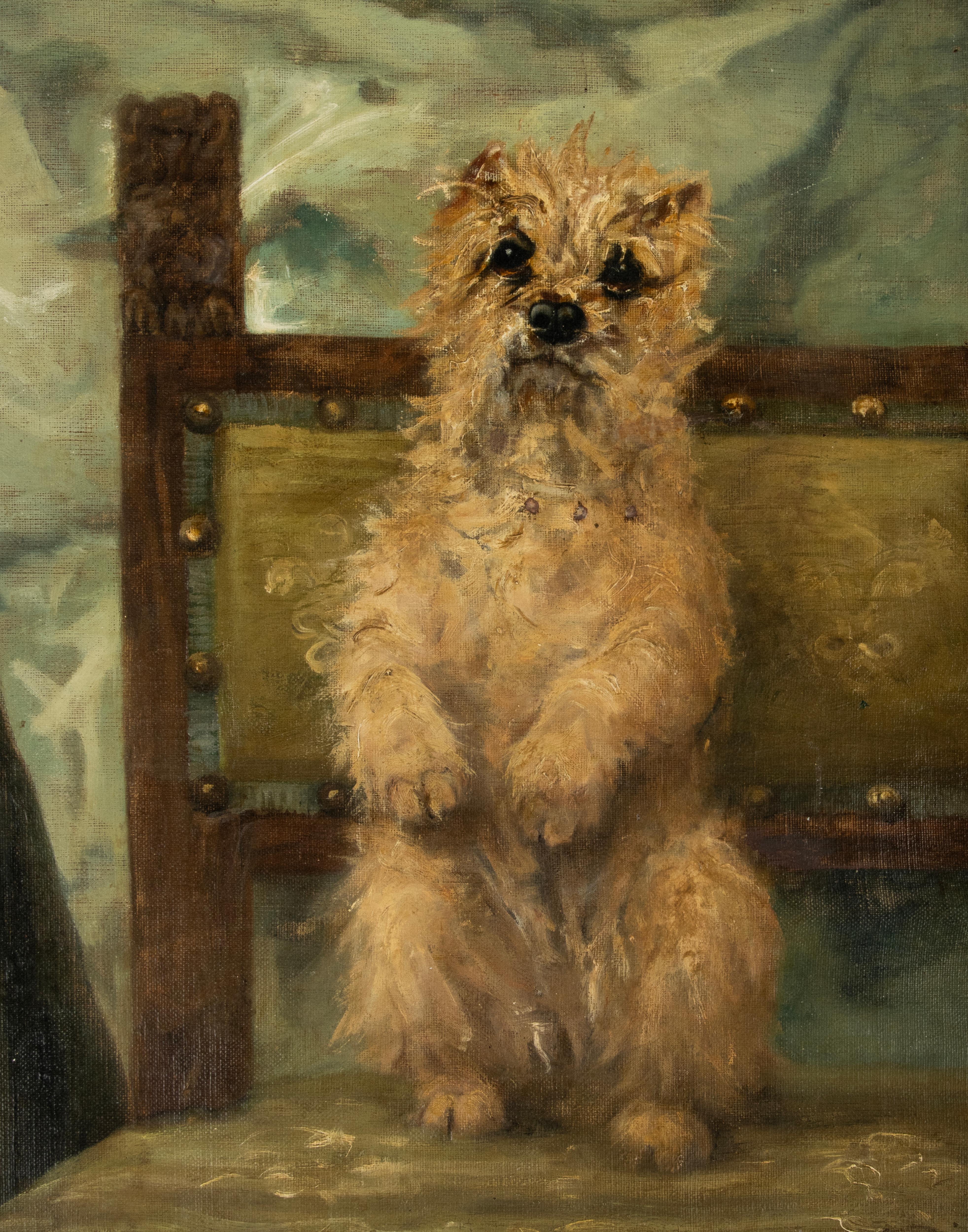 Late 19th Century Oil Painting with a Sitting Cairn Terrier by Albert Toefaert In Good Condition In Casteren, Noord-Brabant