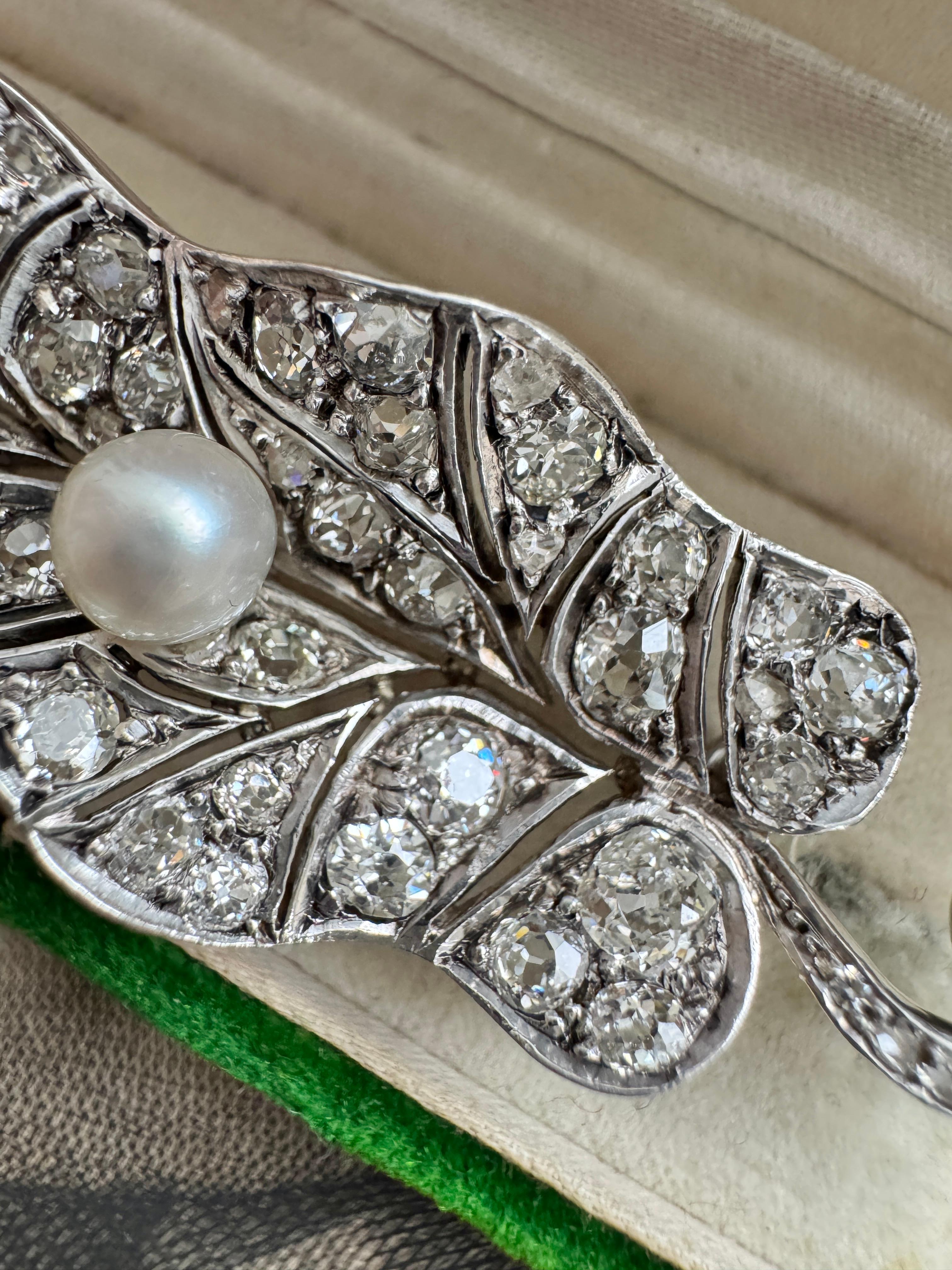 Old Mine Cut Late 19th Century Old Cut Diamond and Natural Saltwater Pearl Morning Glory Leaf For Sale