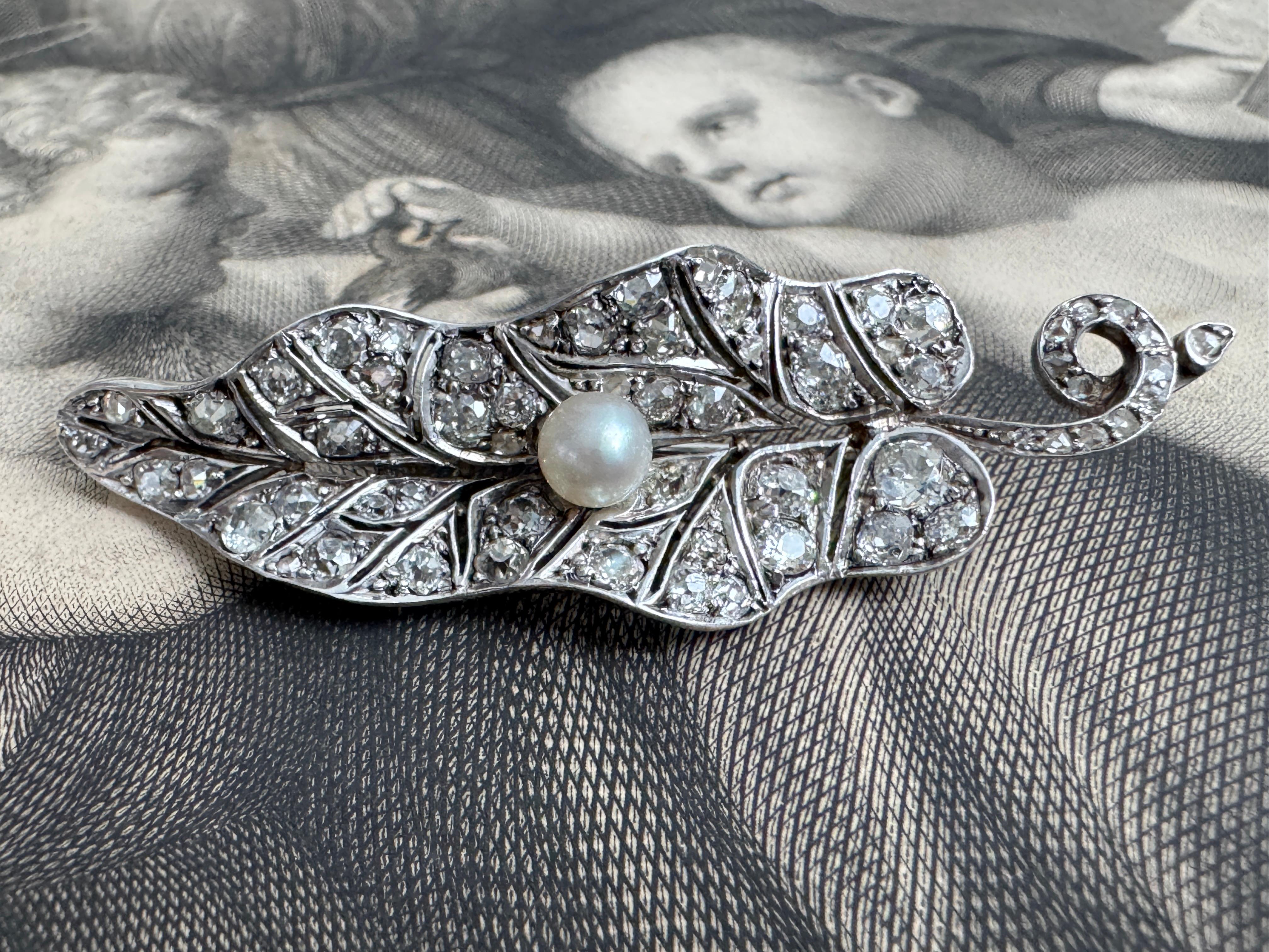 Late 19th Century Old Cut Diamond and Natural Saltwater Pearl Morning Glory Leaf For Sale 1