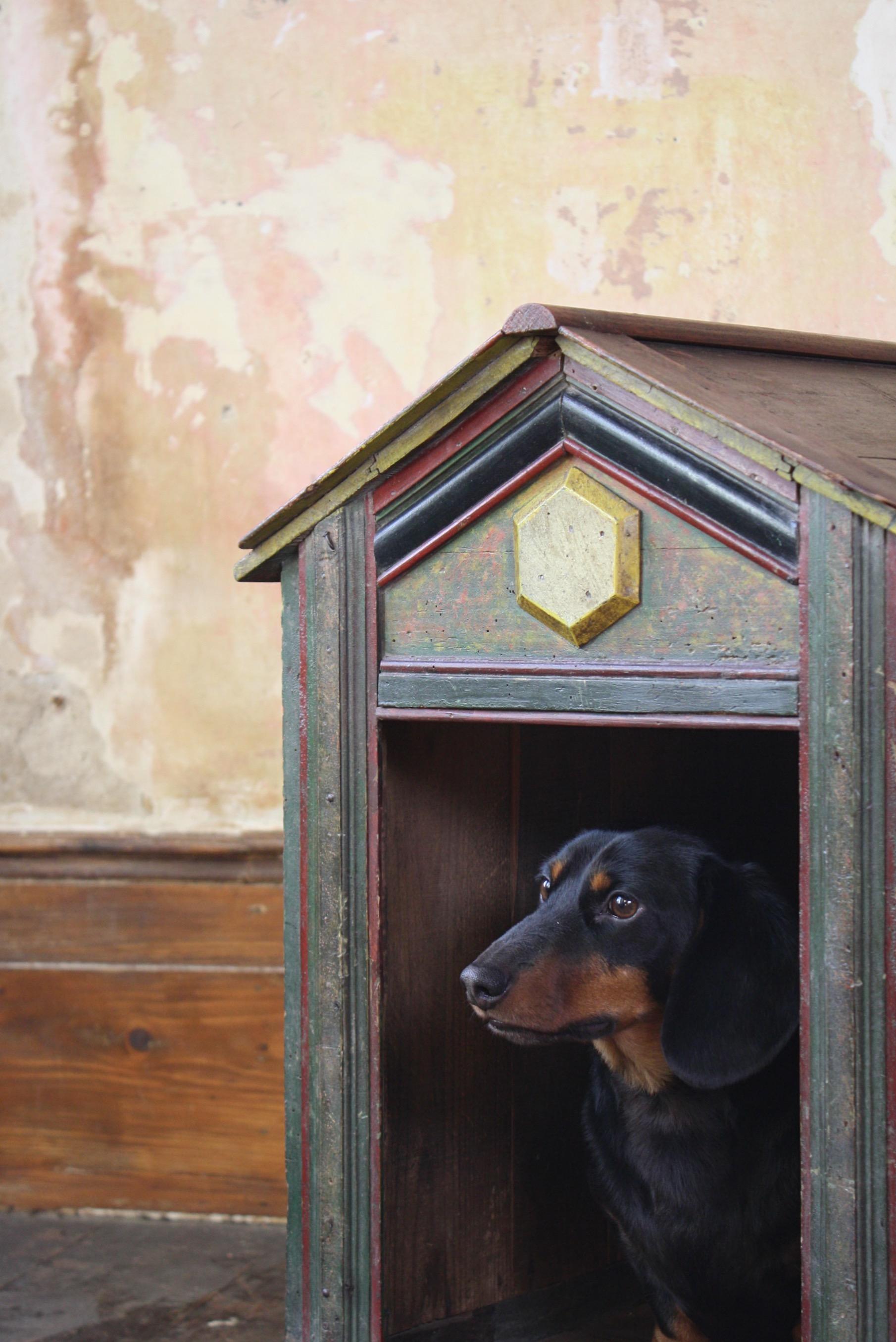 Late 19th Century Original Painted Green Faux Marble Dog Canine Kennel For Sale 5