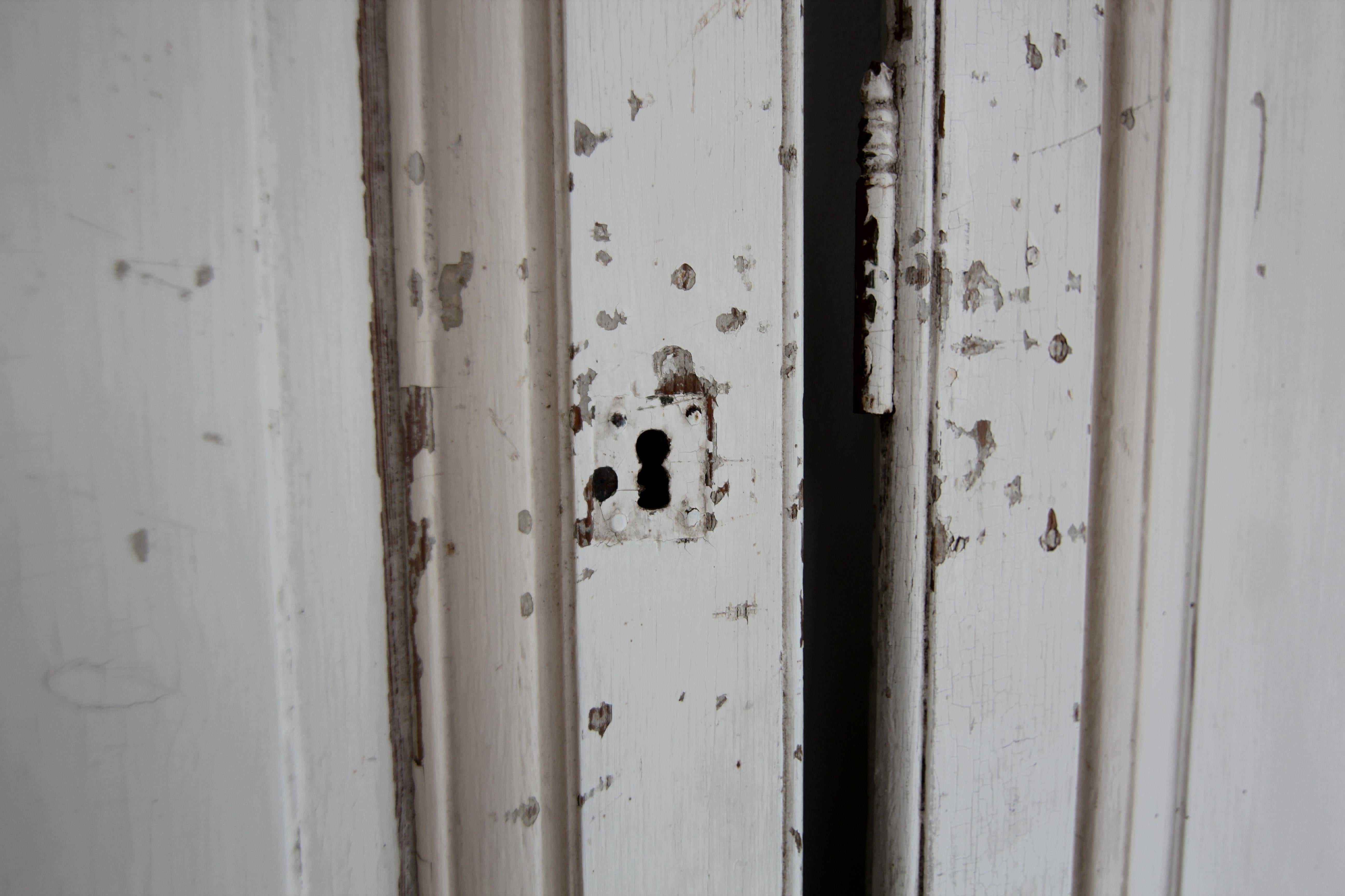 Late 19th Century Painted Built-In Cabinet Doors, Set of 2 For Sale 5