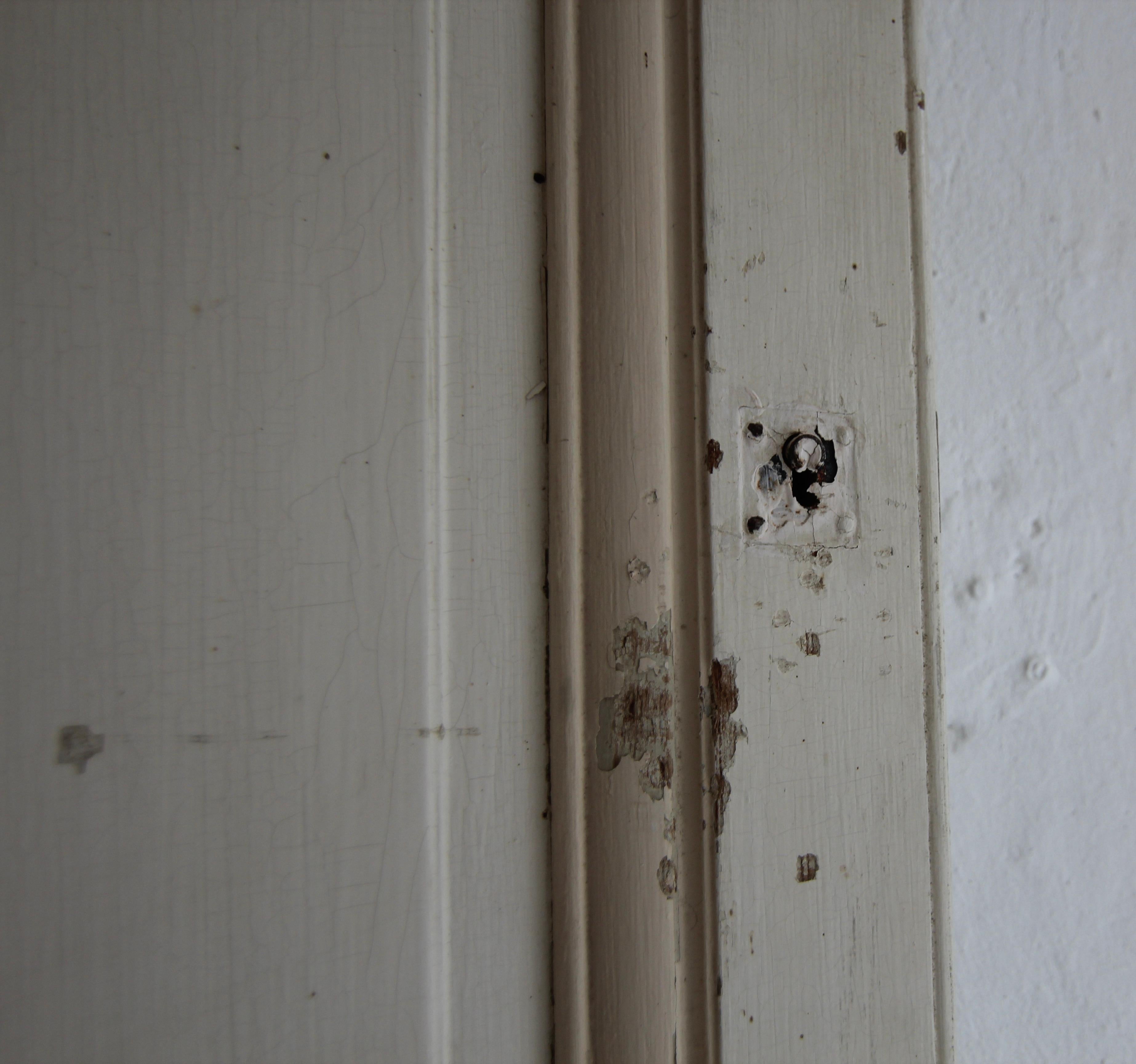 Late 19th Century Painted Built-In Cabinet Doors, Set of 2 For Sale 7