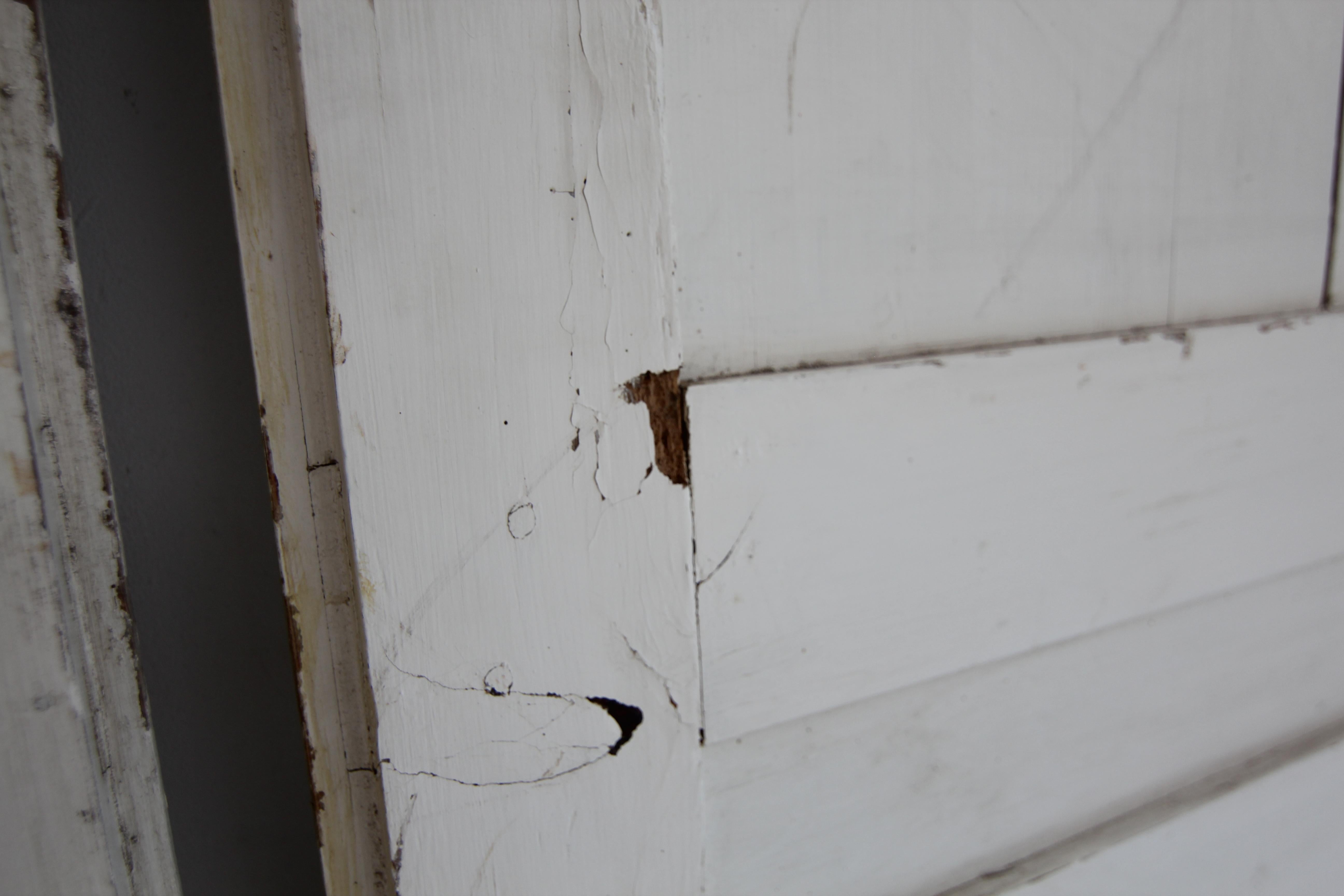 Late 19th Century Painted Built-In Cabinet Doors, Set of 2 For Sale 14