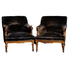 Late 19th century pair of blue velvet armchairs with wooden shell and carved and