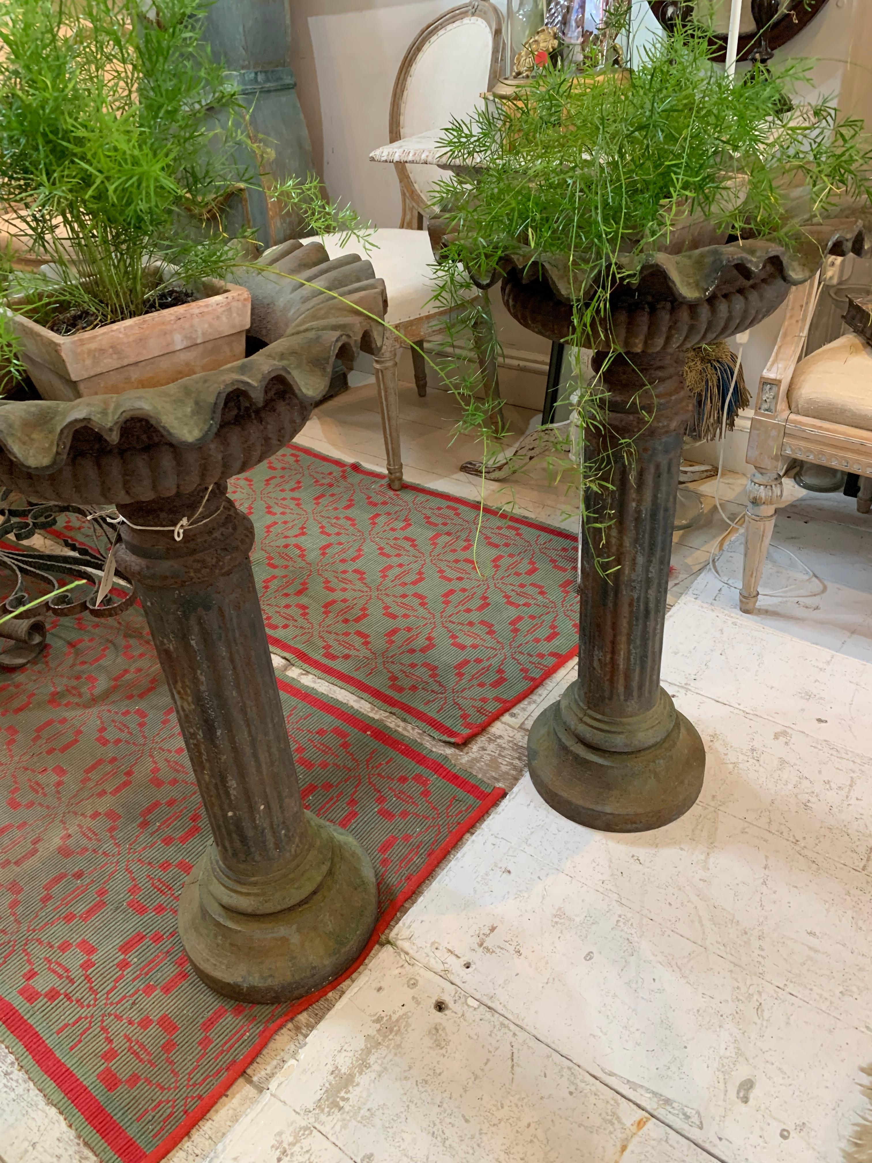 Pareja de jardineras inglesas de hierro fundido con base de pedestal de finales del siglo XIX en venta 3