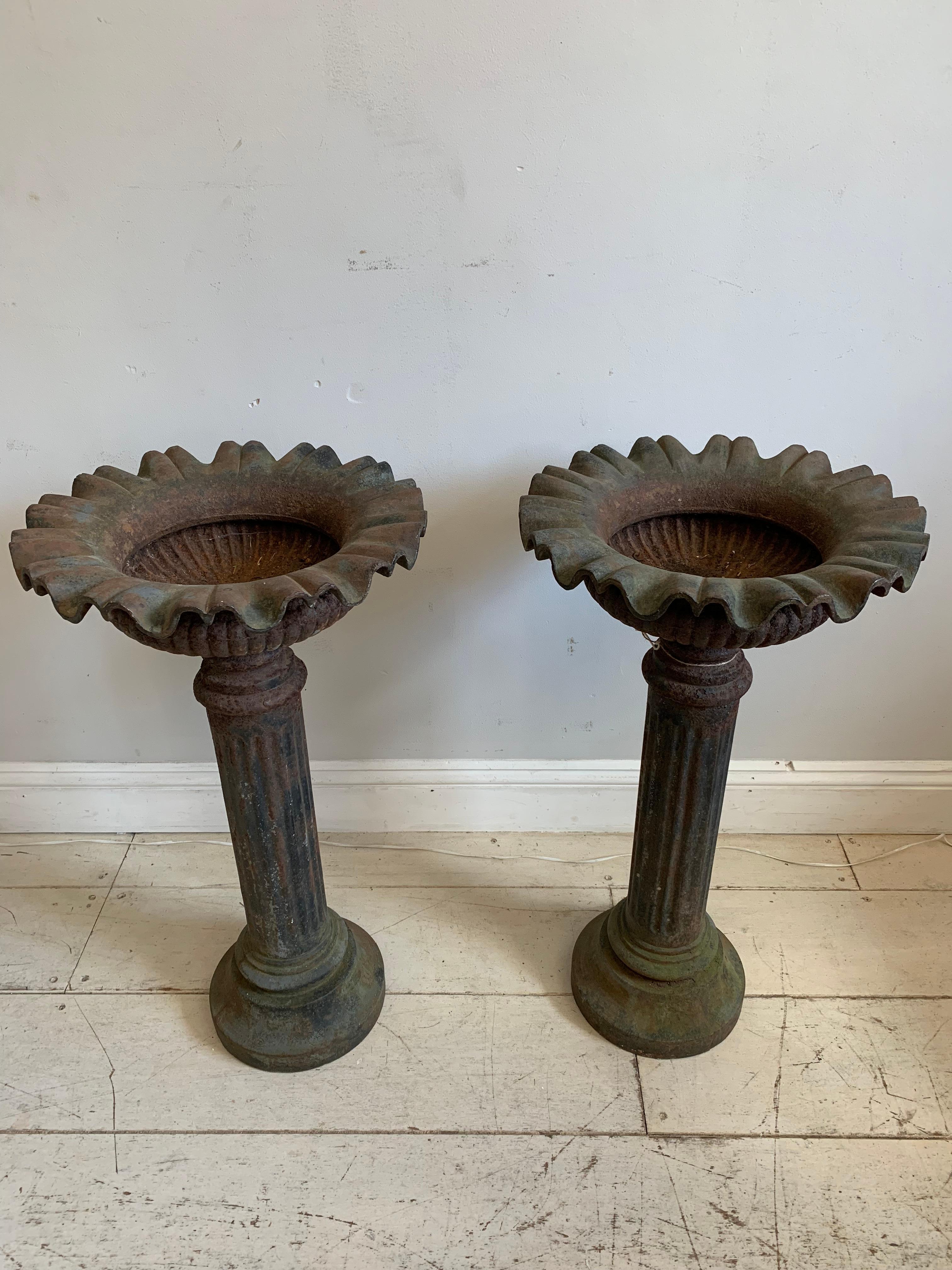 Pareja de jardineras inglesas de hierro fundido con base de pedestal de finales del siglo XIX Neoclásico en venta