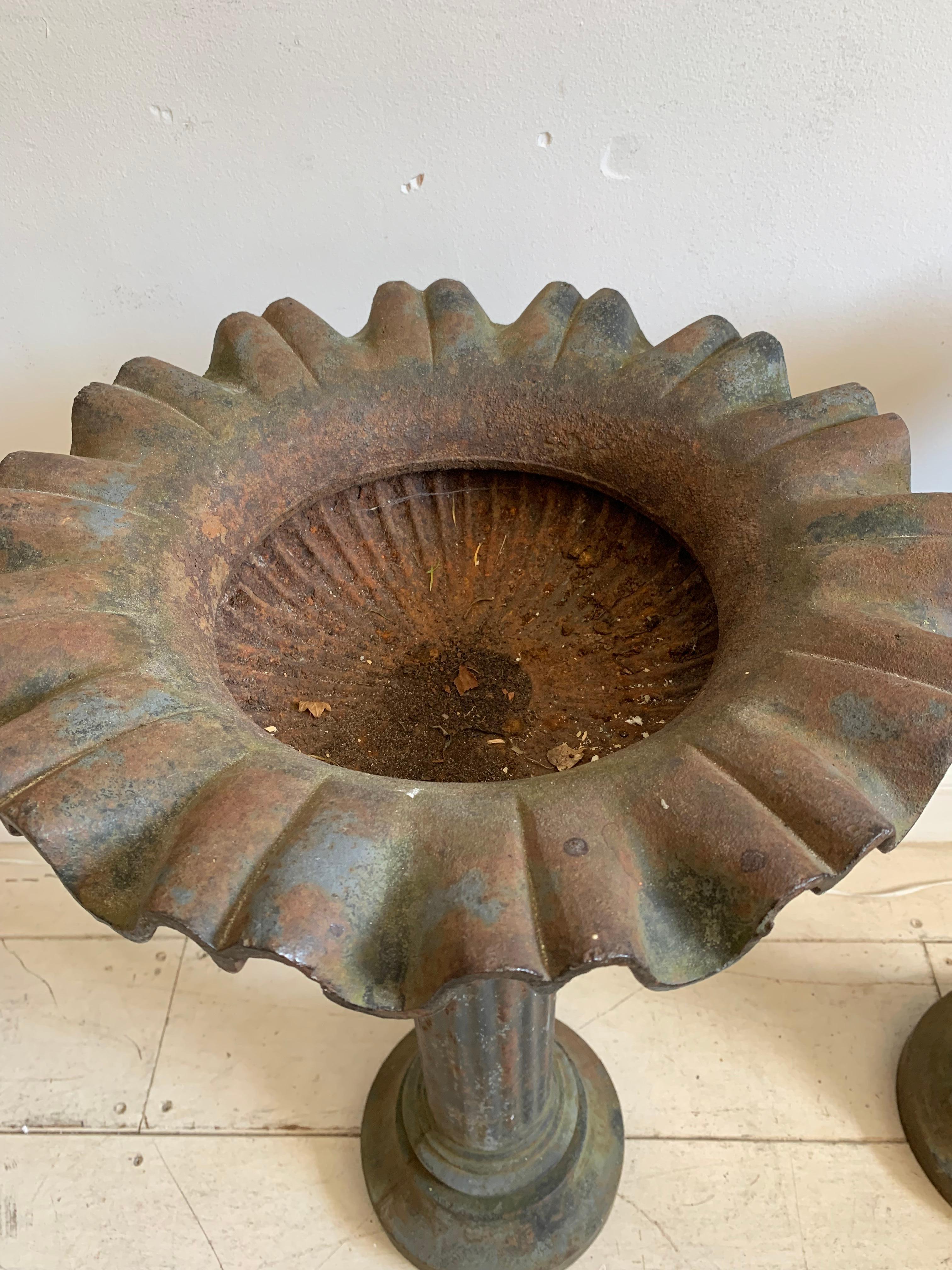 Pareja de jardineras inglesas de hierro fundido con base de pedestal de finales del siglo XIX Inglés en venta