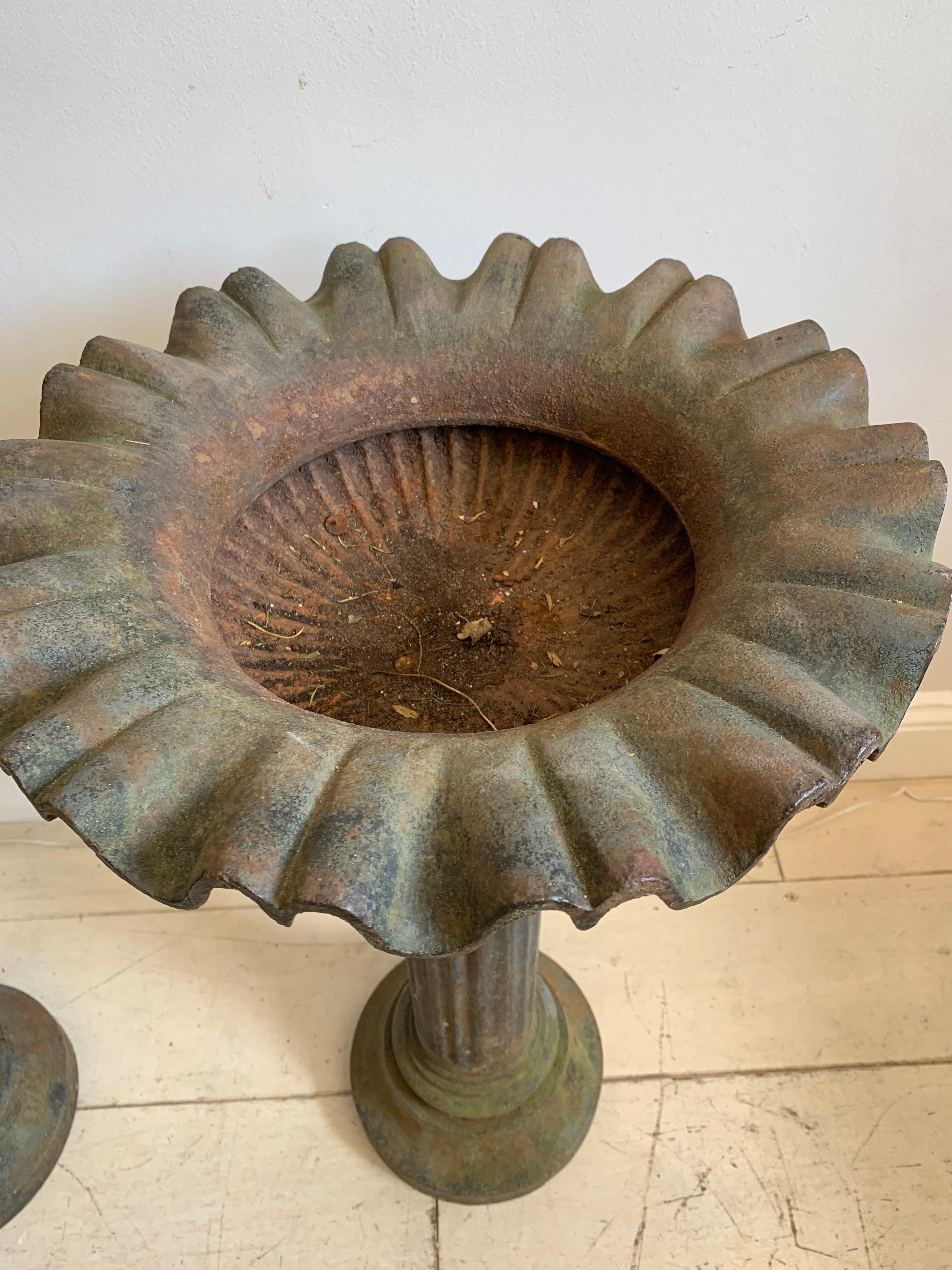 Pareja de jardineras inglesas de hierro fundido con base de pedestal de finales del siglo XIX Vaciado en venta