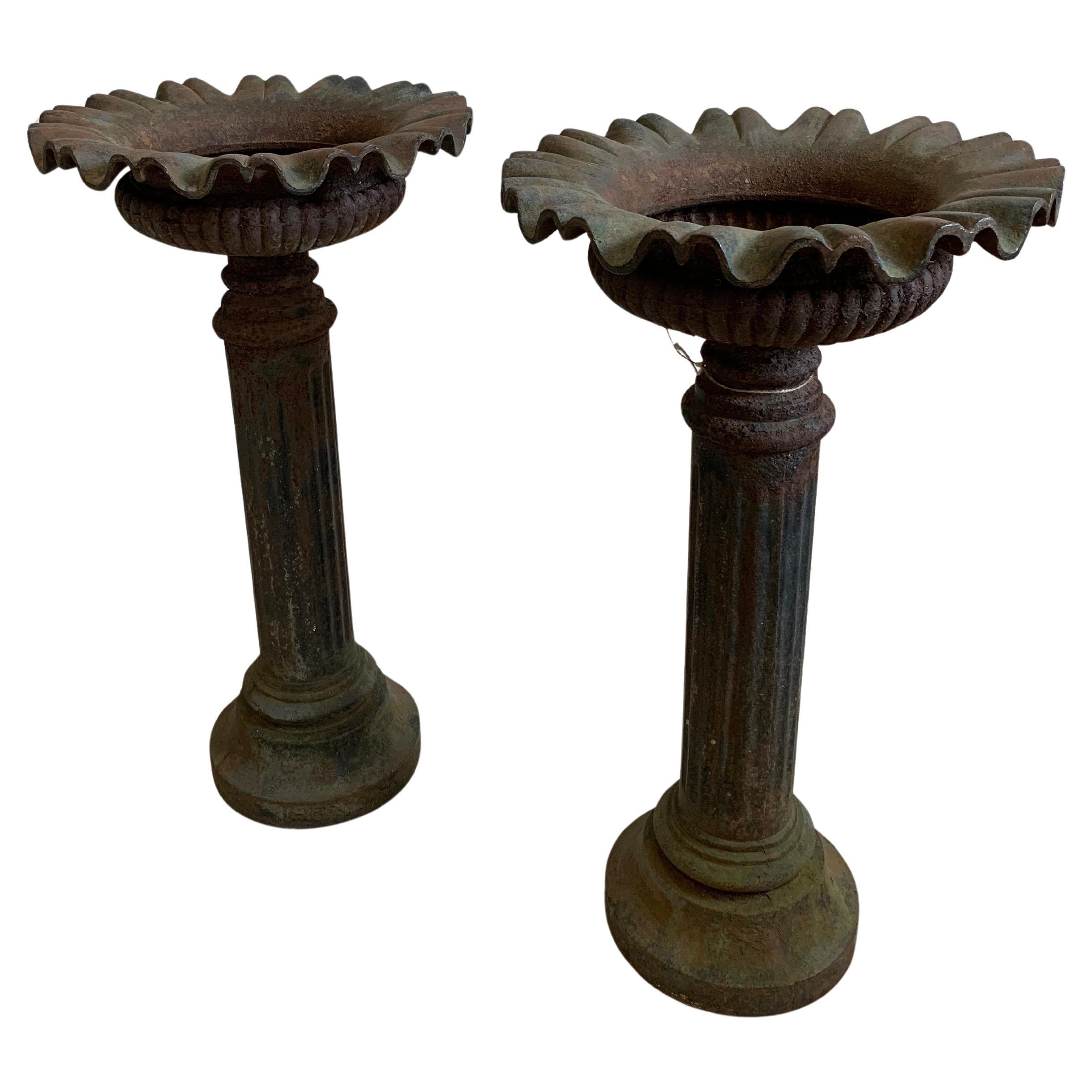 Pareja de jardineras inglesas de hierro fundido con base de pedestal de finales del siglo XIX en venta