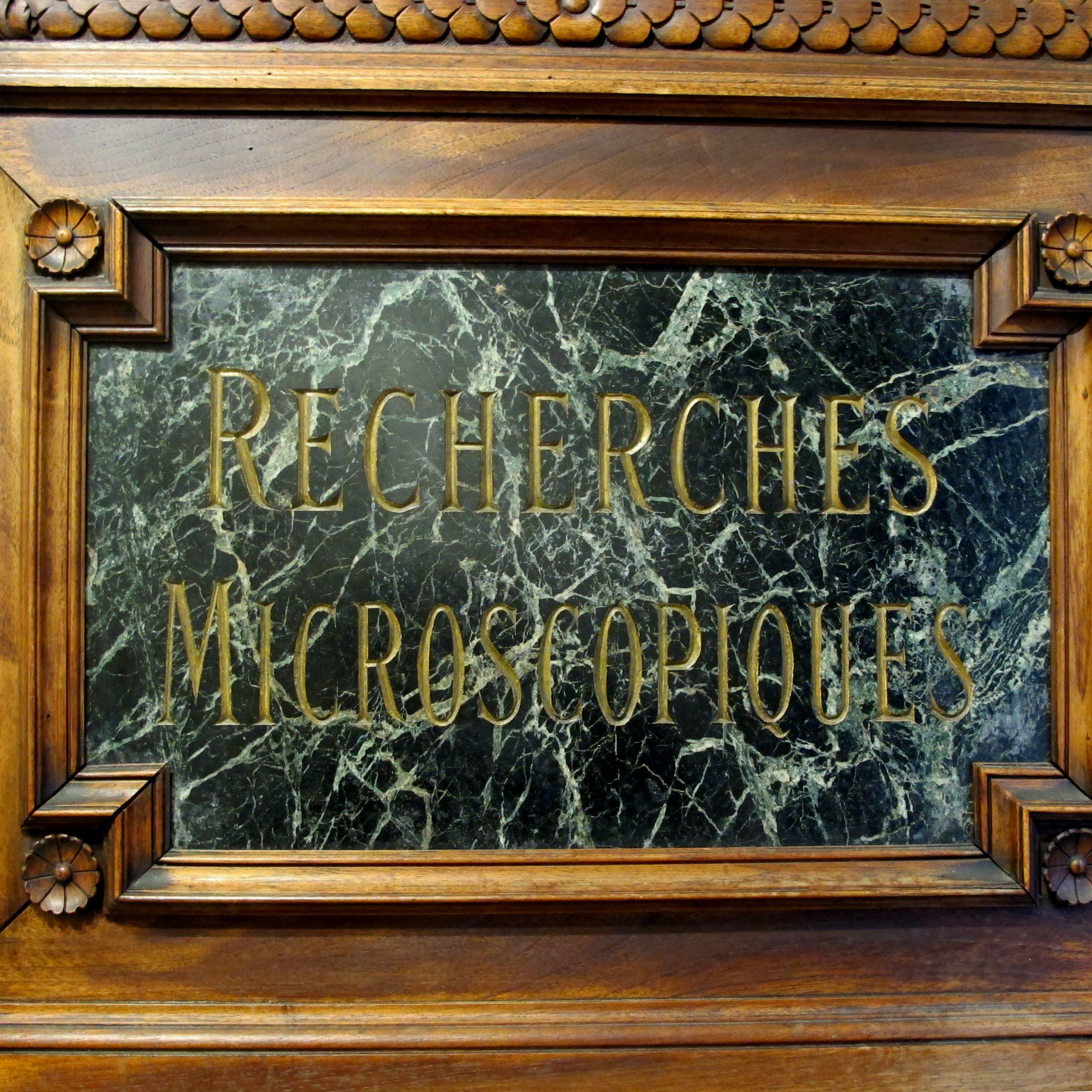Autre Paire de frontons de porte de pharmacie française de la fin du XIXe siècle en vente