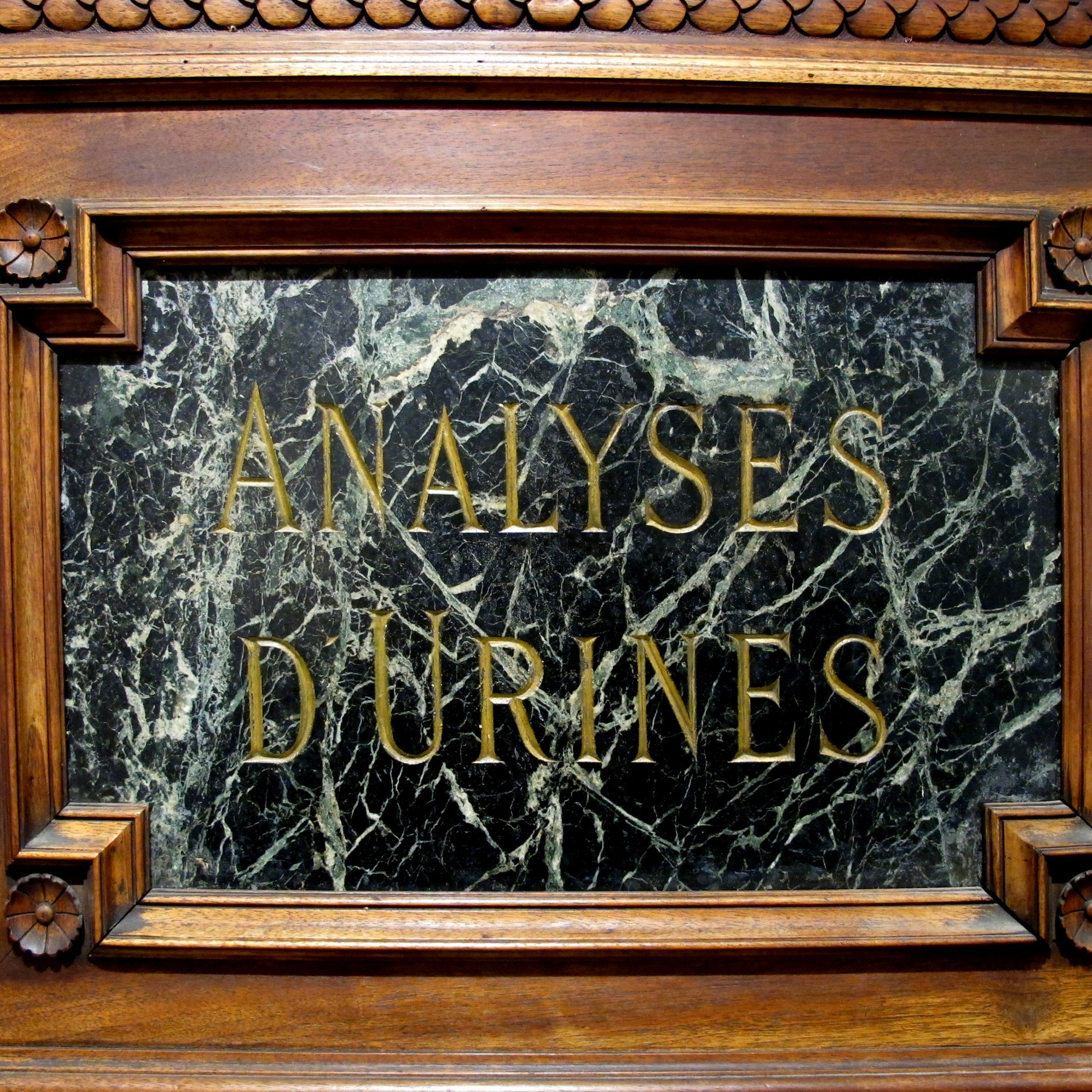 Late 19th Century Pair of French Pharmacy Door Pediments In Good Condition For Sale In London, GB