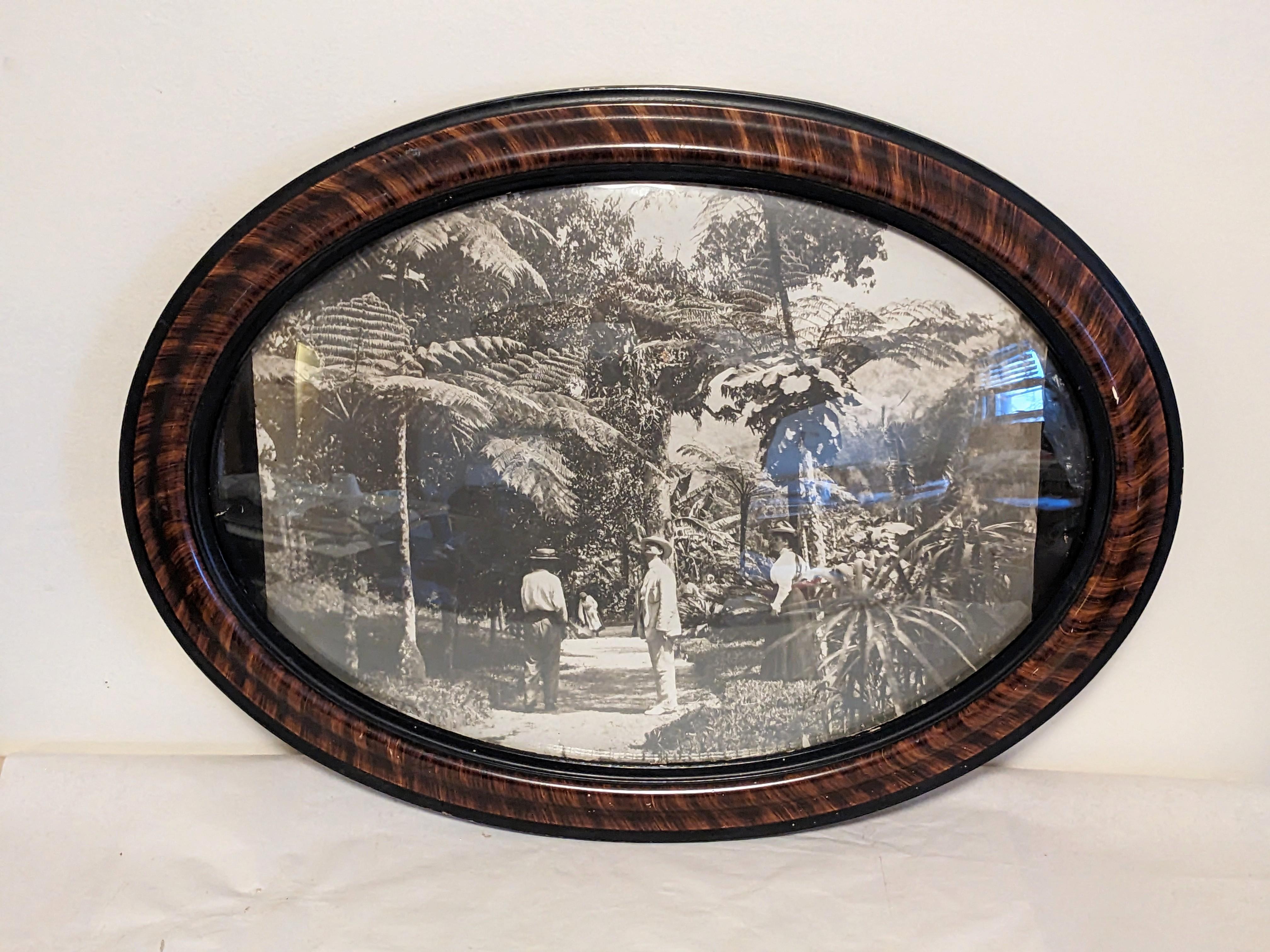 Late 19th century Photograph, Victorians in Tropics, domed glass with trompe l'oiel wood grain frame. Period Black White image has been pasted onto board and inserted into frame, needs a matt as the photo does not cover entire backing. Interesting