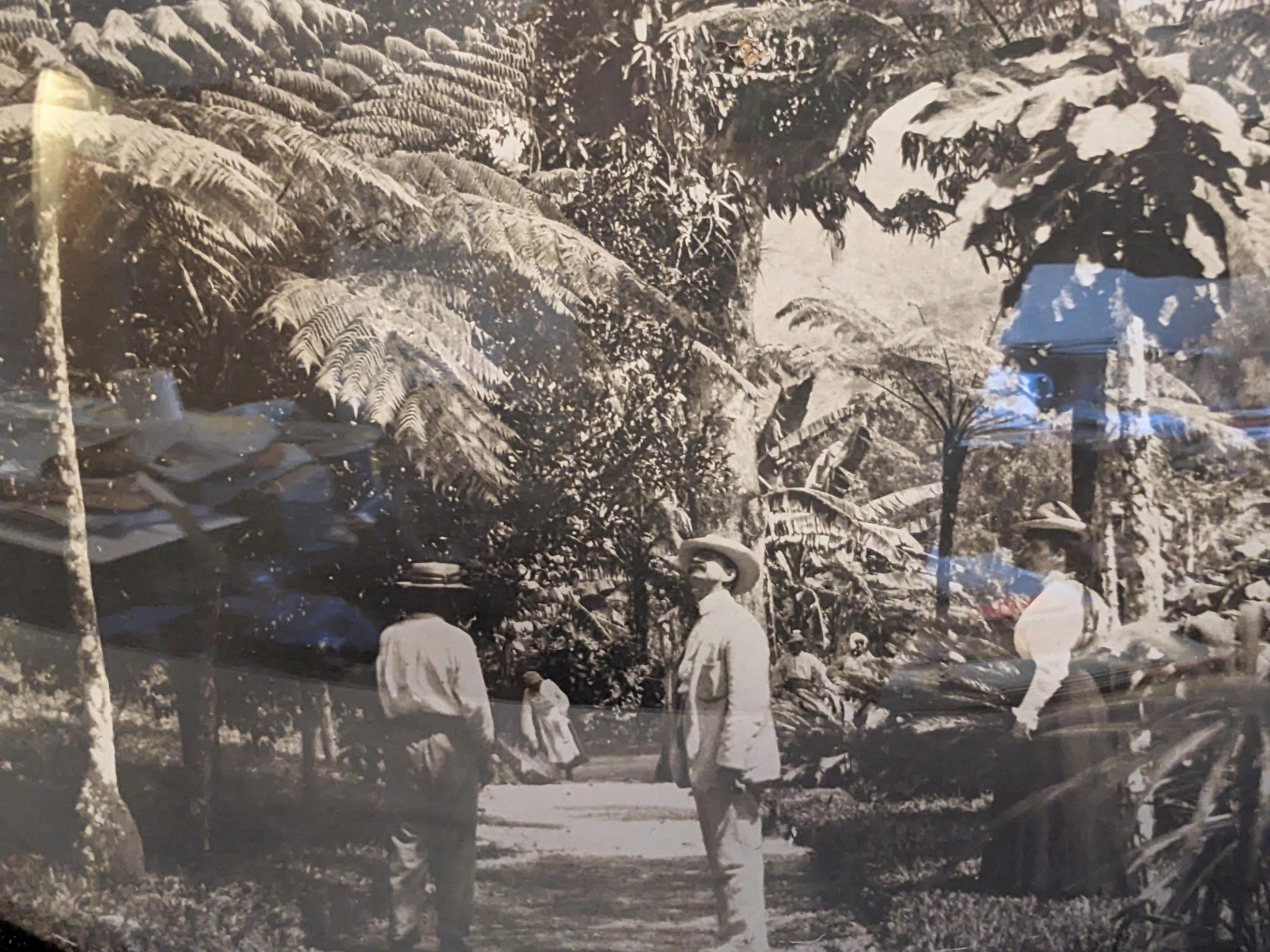 Late 19th Century Photograph, Victorians in Tropics In Good Condition For Sale In Riverdale, NY