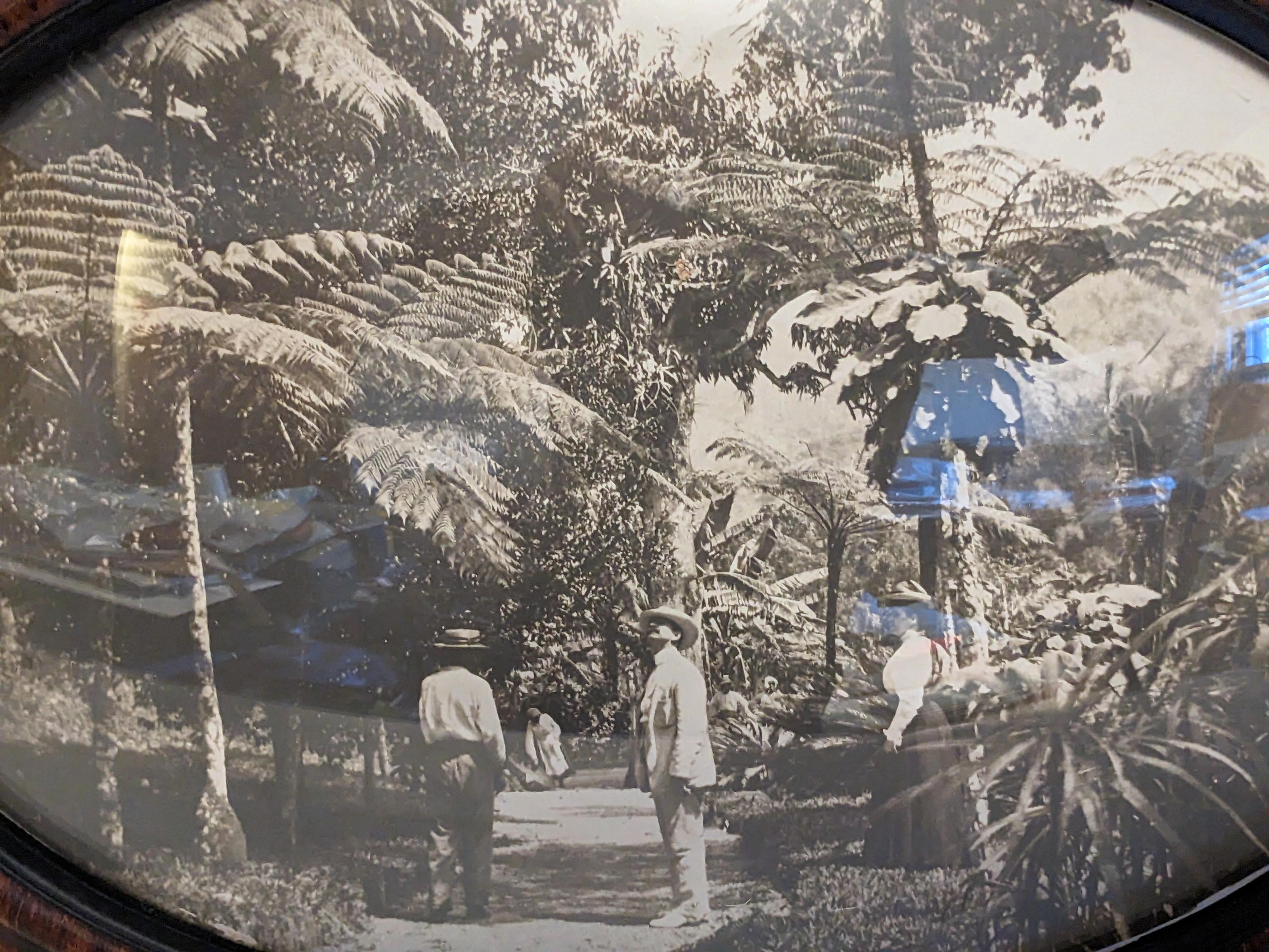 Early 20th Century Late 19th Century Photograph, Victorians in Tropics For Sale