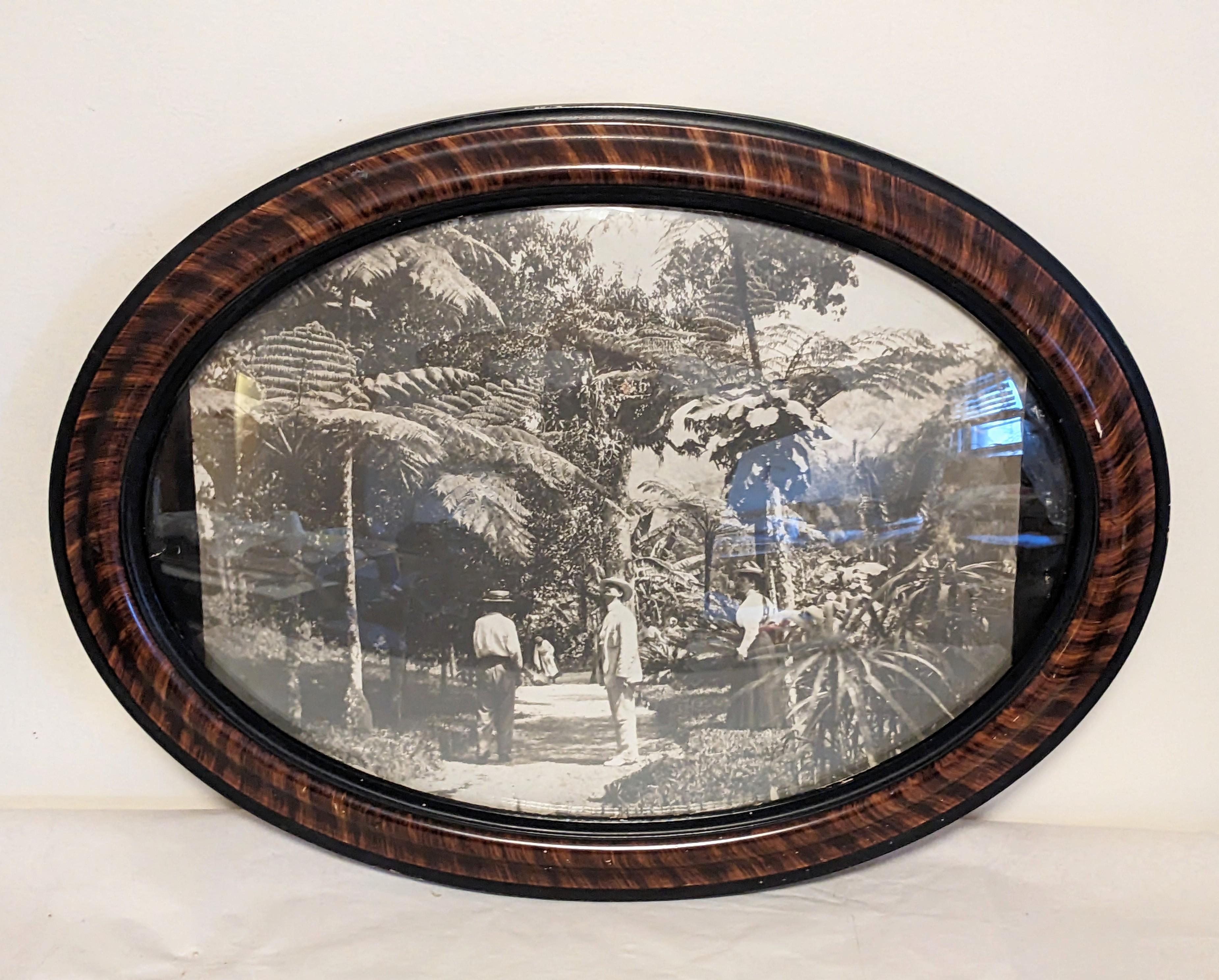 Glass Late 19th Century Photograph, Victorians in Tropics For Sale