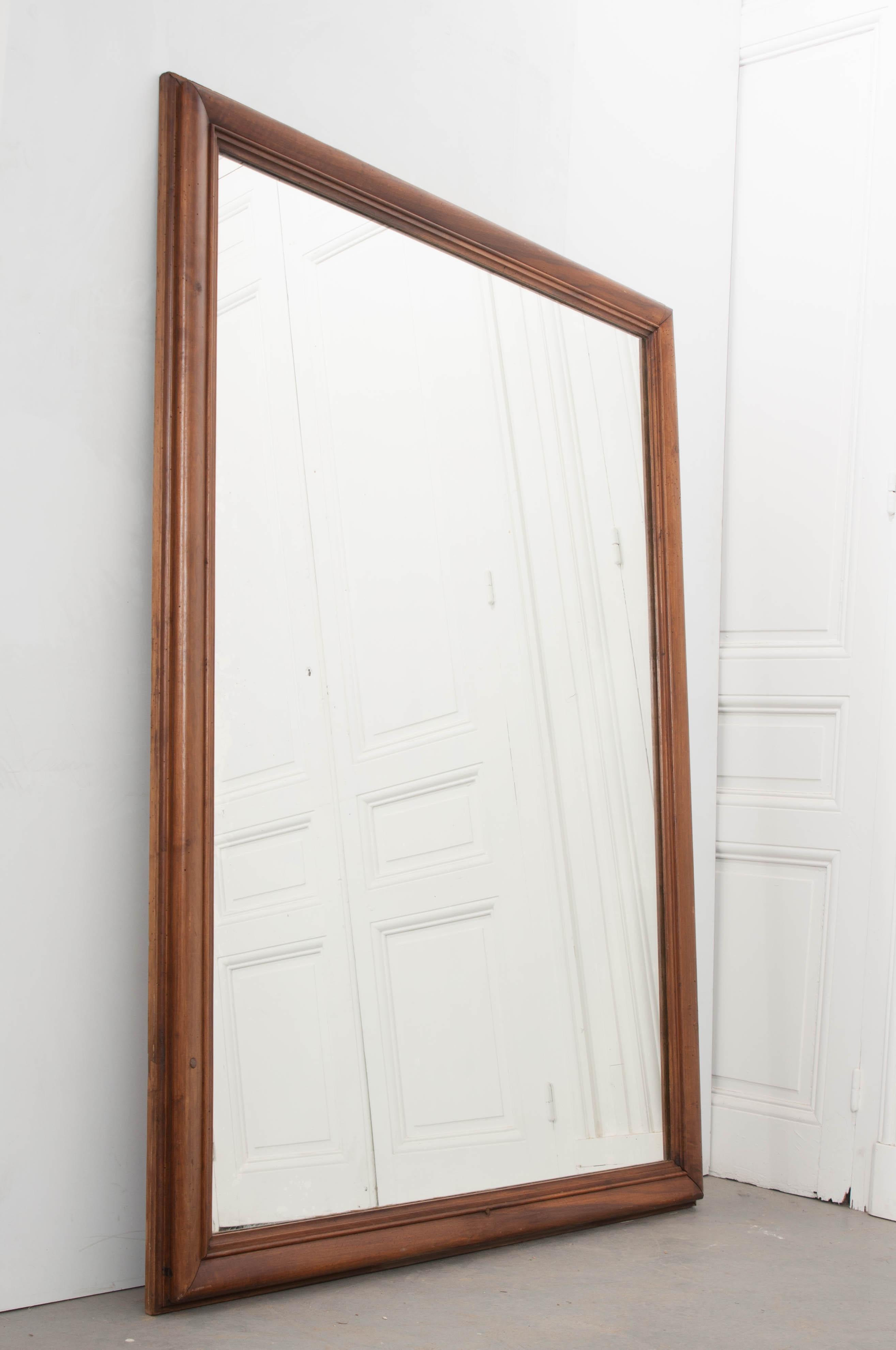 Late 19th Century Provincial Carved Walnut Mirror For Sale 2
