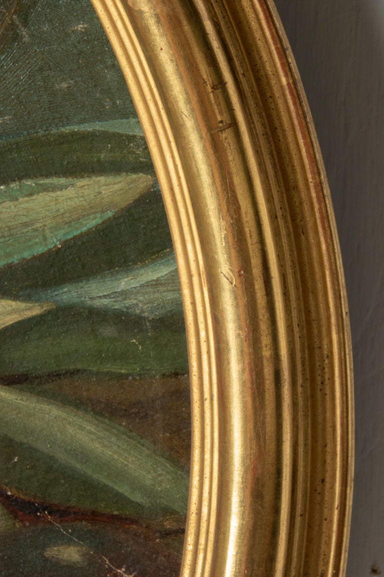 Late 19th Century Round Oil Painting Fruit Still Life with Gold Leaf Frame For Sale at 1stDibs