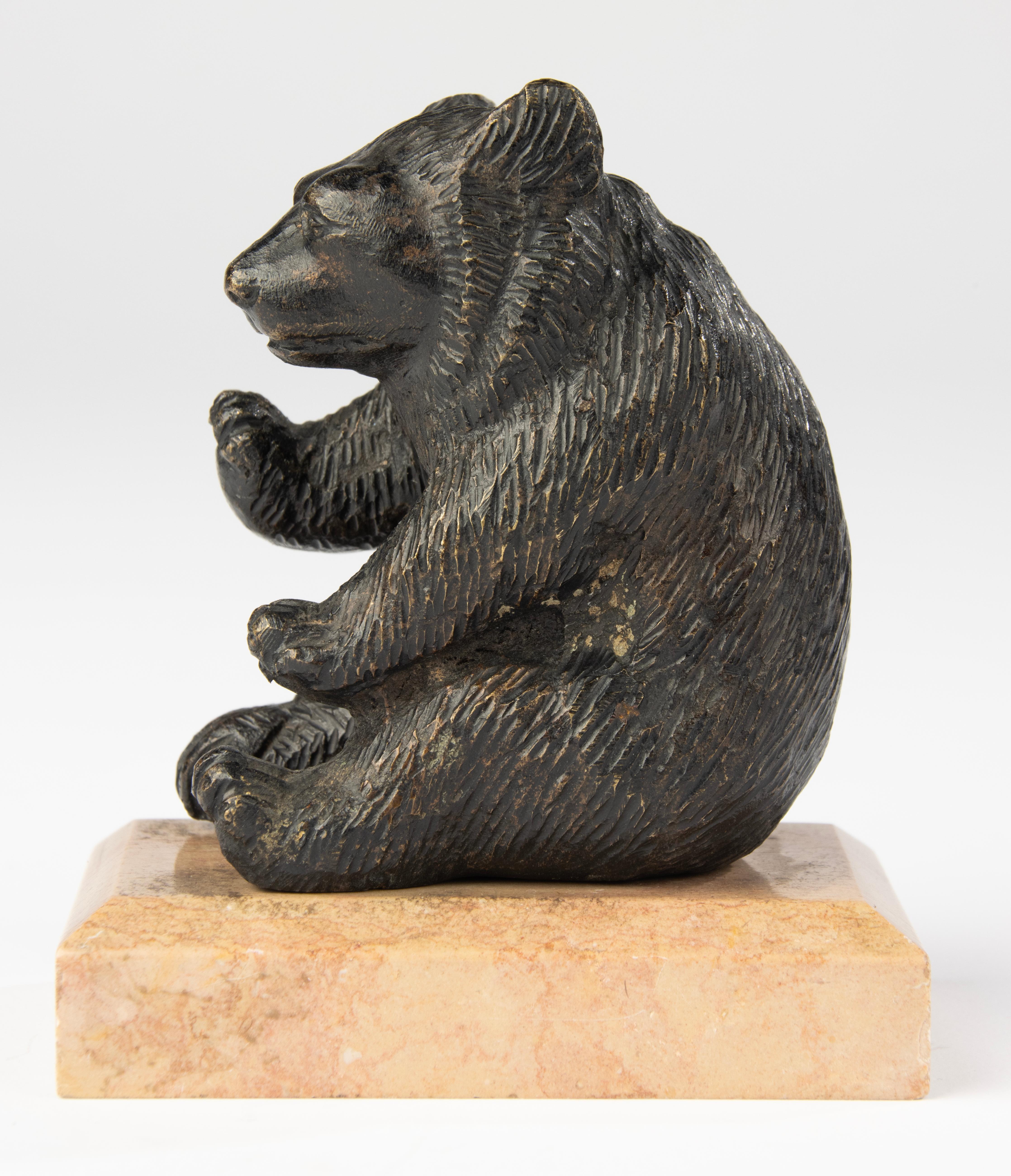 Scultura di fine Ottocento di un orso seduto - Bronzo di Black Forest in vendita 3