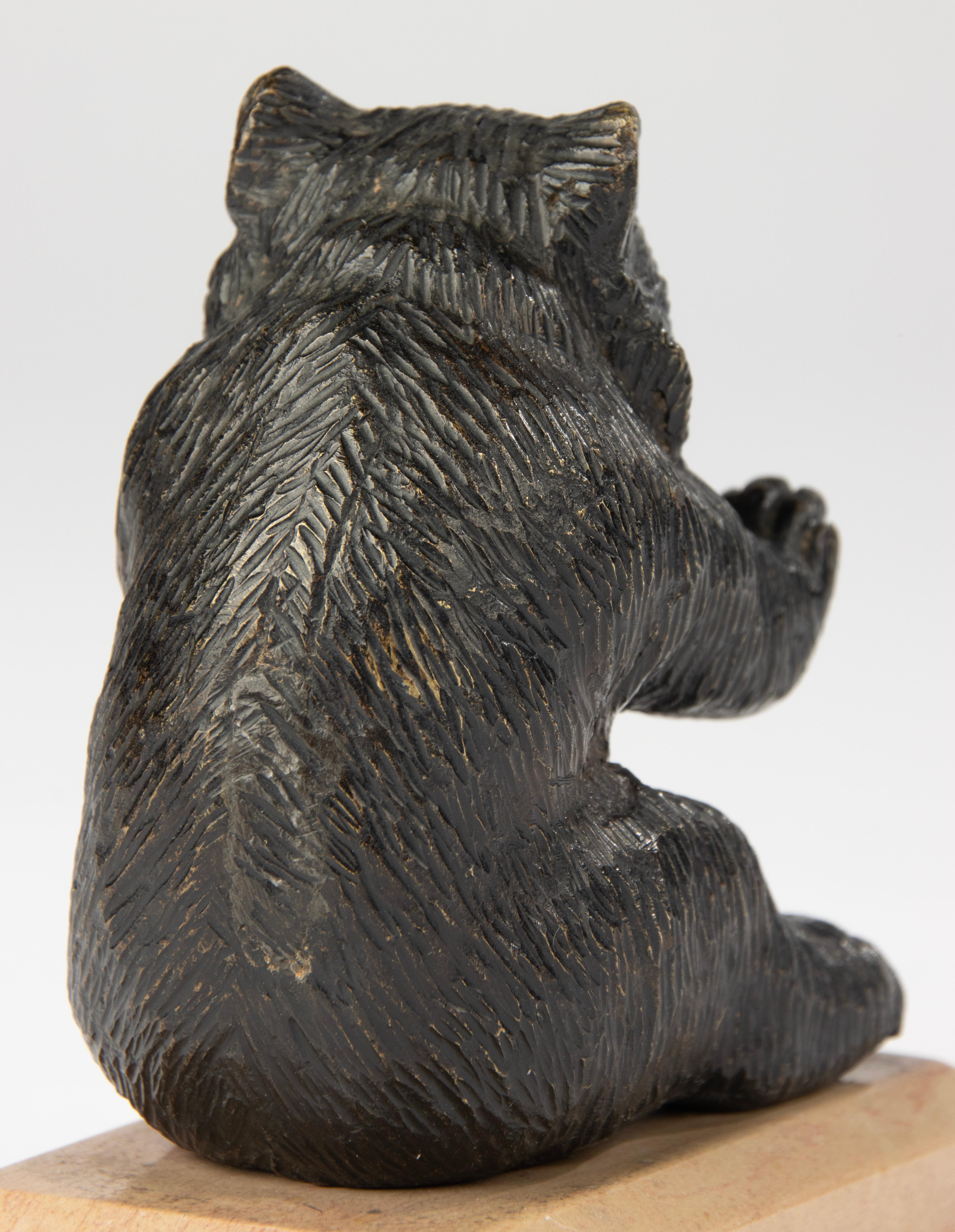 Scultura di fine Ottocento di un orso seduto - Bronzo di Black Forest in vendita 4