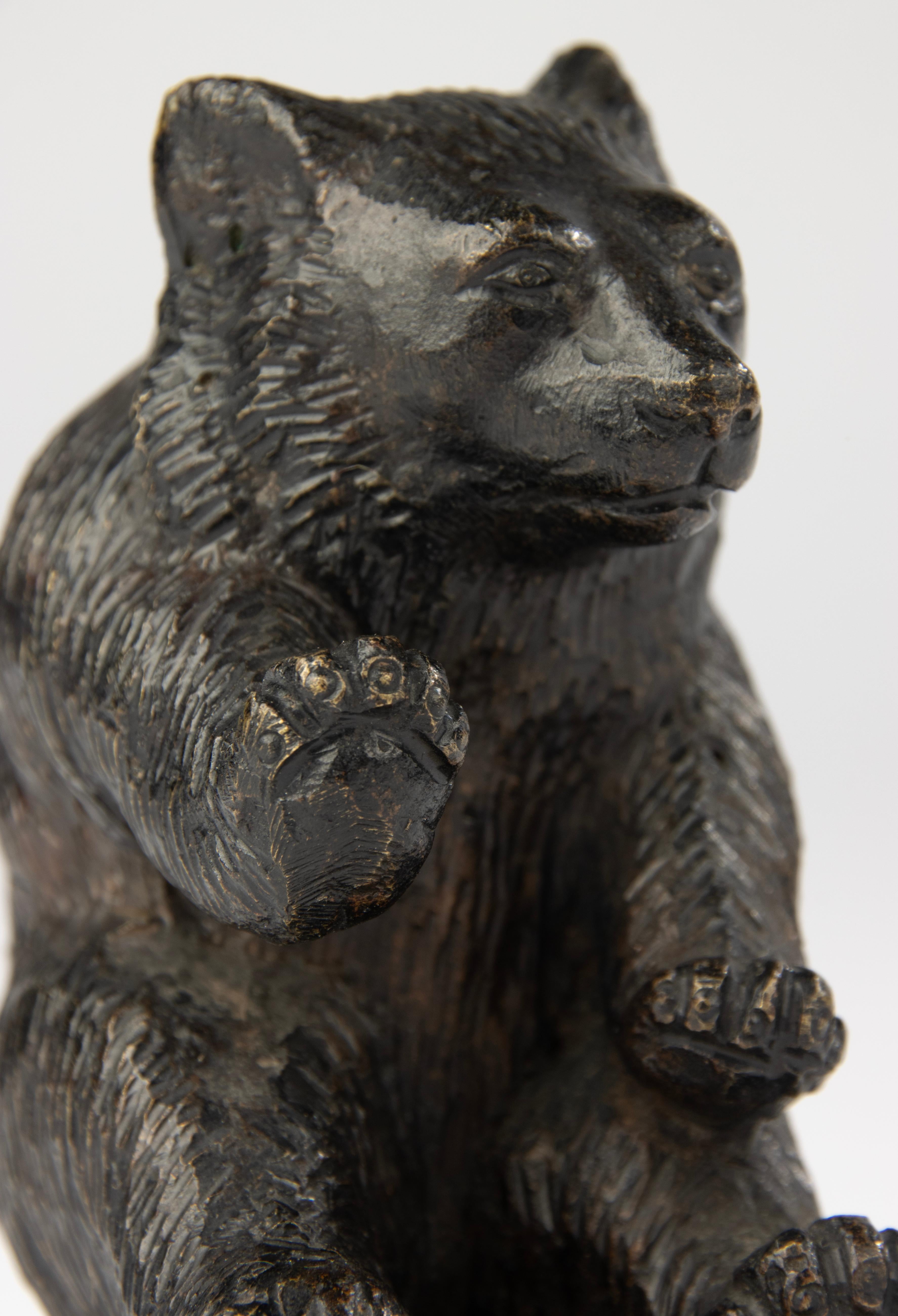 Scultura di fine Ottocento di un orso seduto - Bronzo di Black Forest in vendita 6