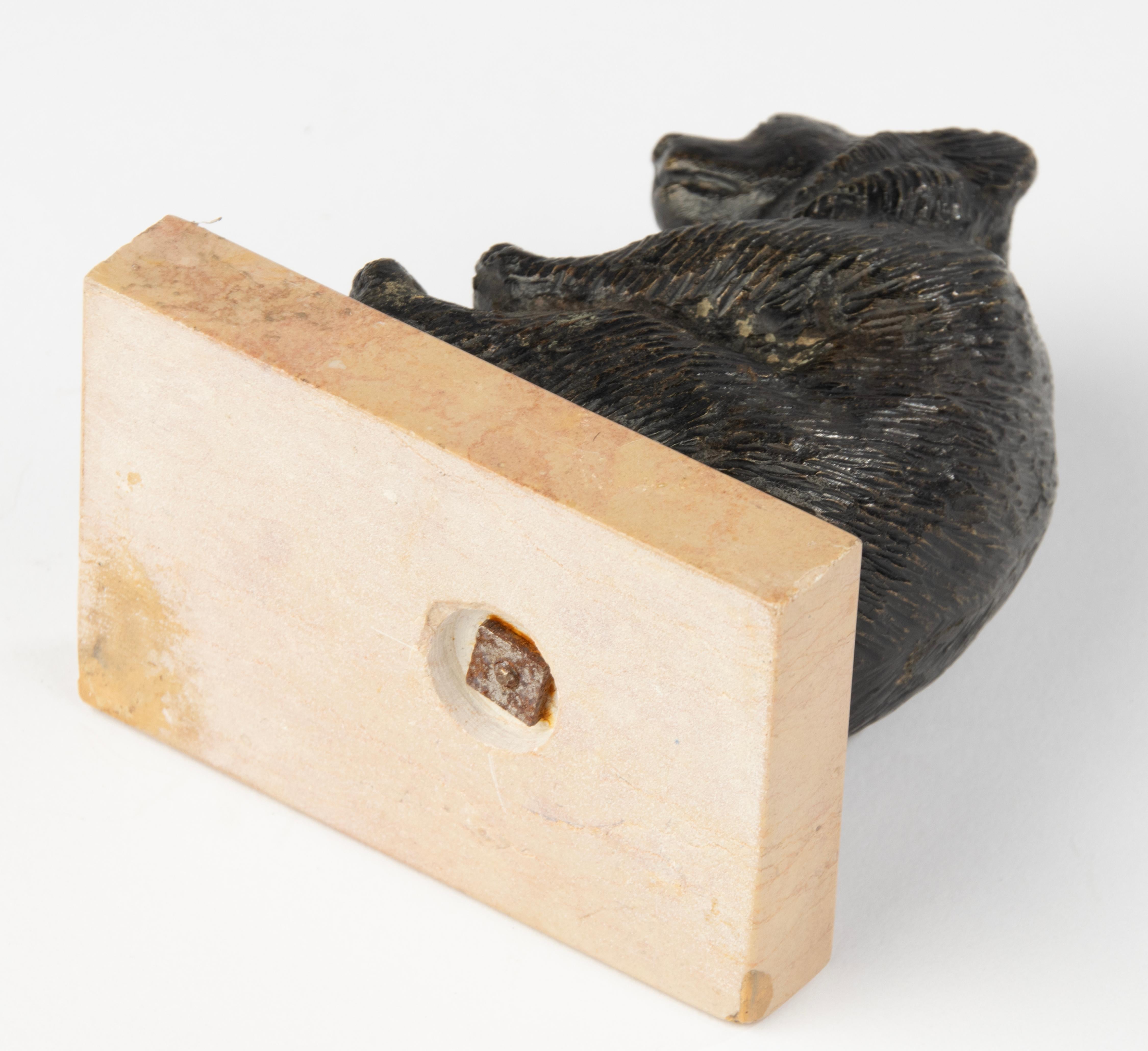 Scultura di fine Ottocento di un orso seduto - Bronzo di Black Forest in vendita 8