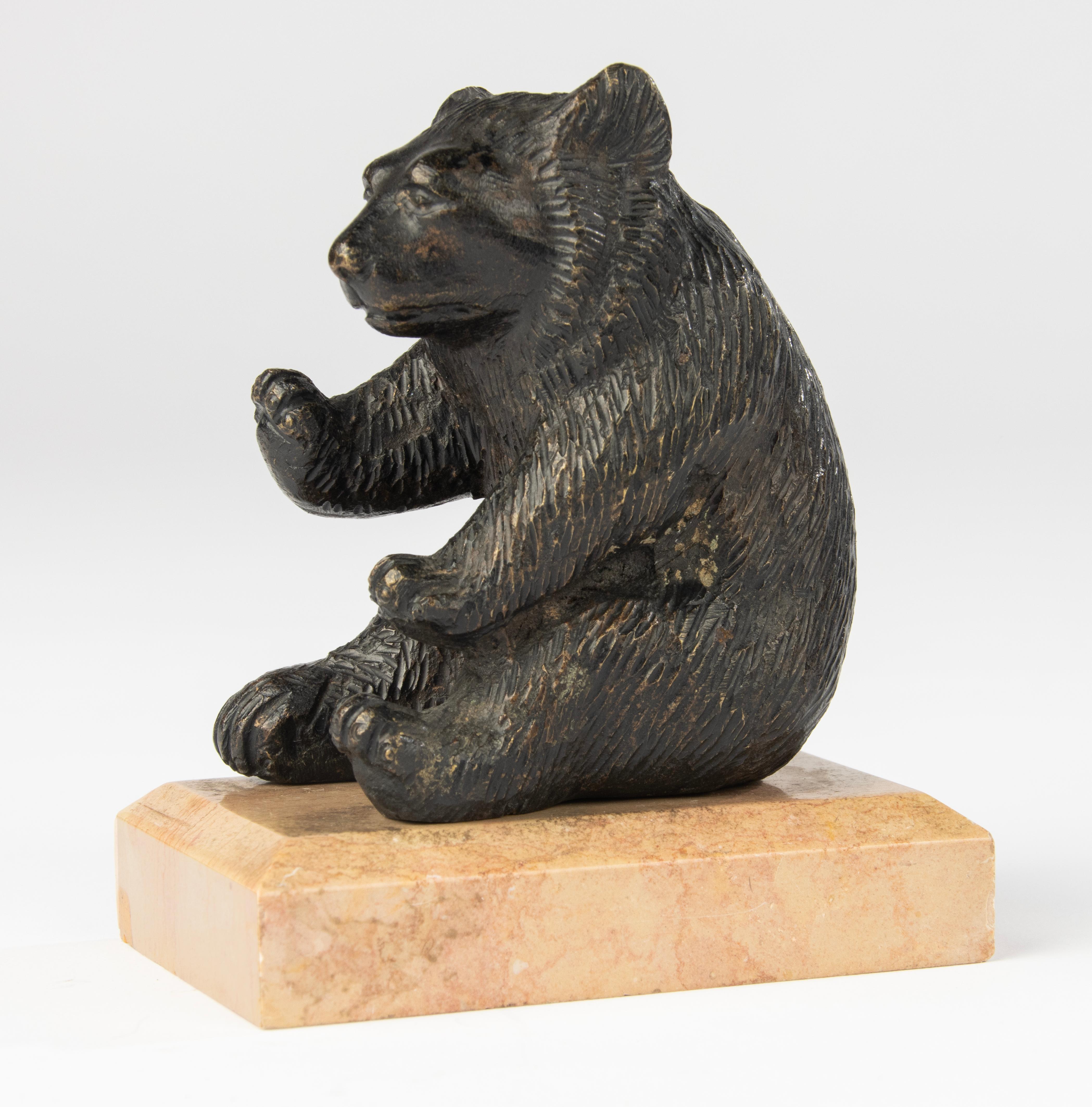 Affascinante scultura in bronzo del XIX secolo raffigurante un orso seduto, immortalato in una vivace posa eretta. L'artista ha reso la pelliccia dell'animale con una superficie espressiva e dettagli stilizzati, conferendo alla figura un fascino